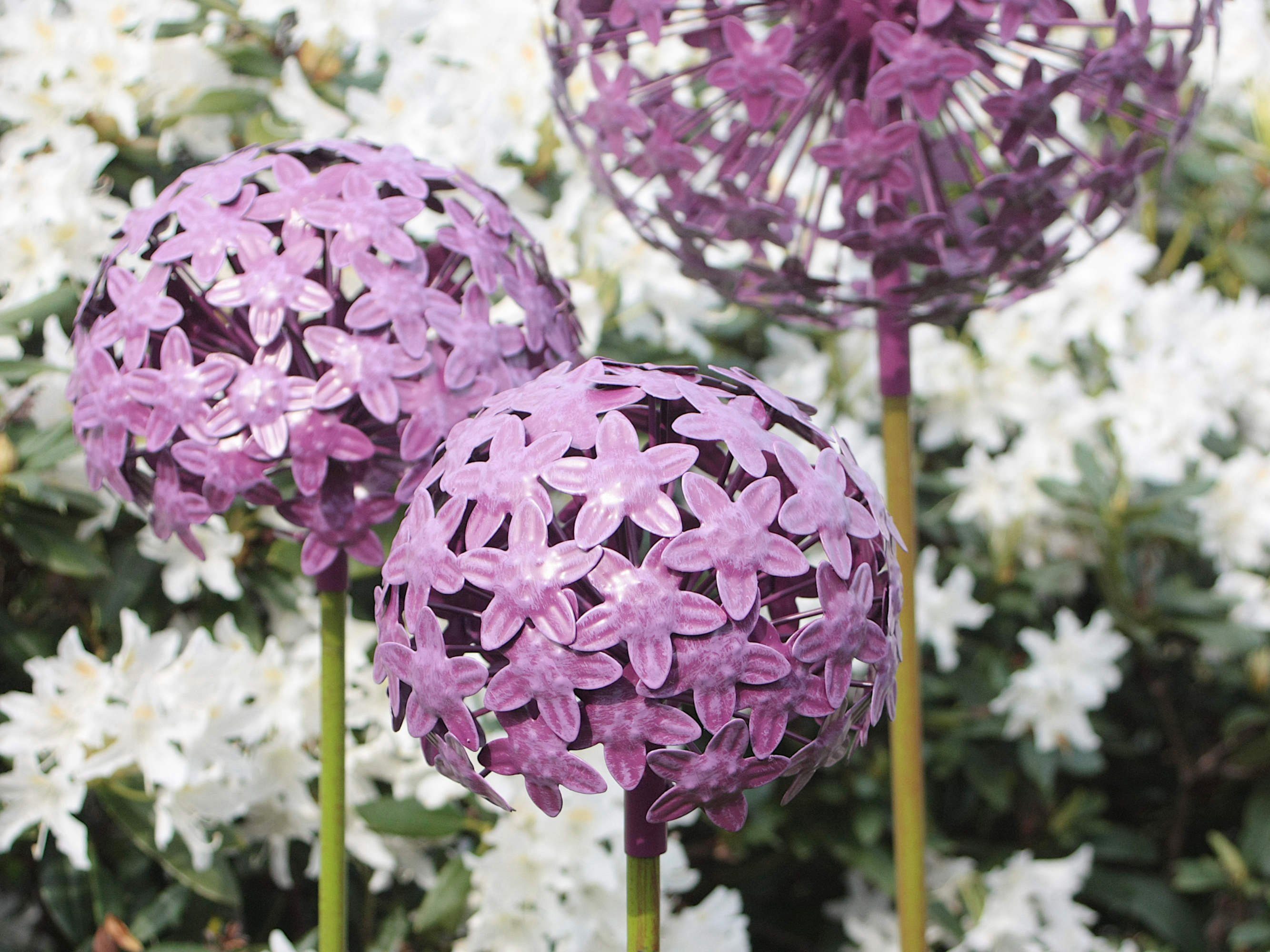 Paulslandhaus Dekokugel Pflanzstecker Allium Lila Gartenstecker Rosenkugel günstig online kaufen