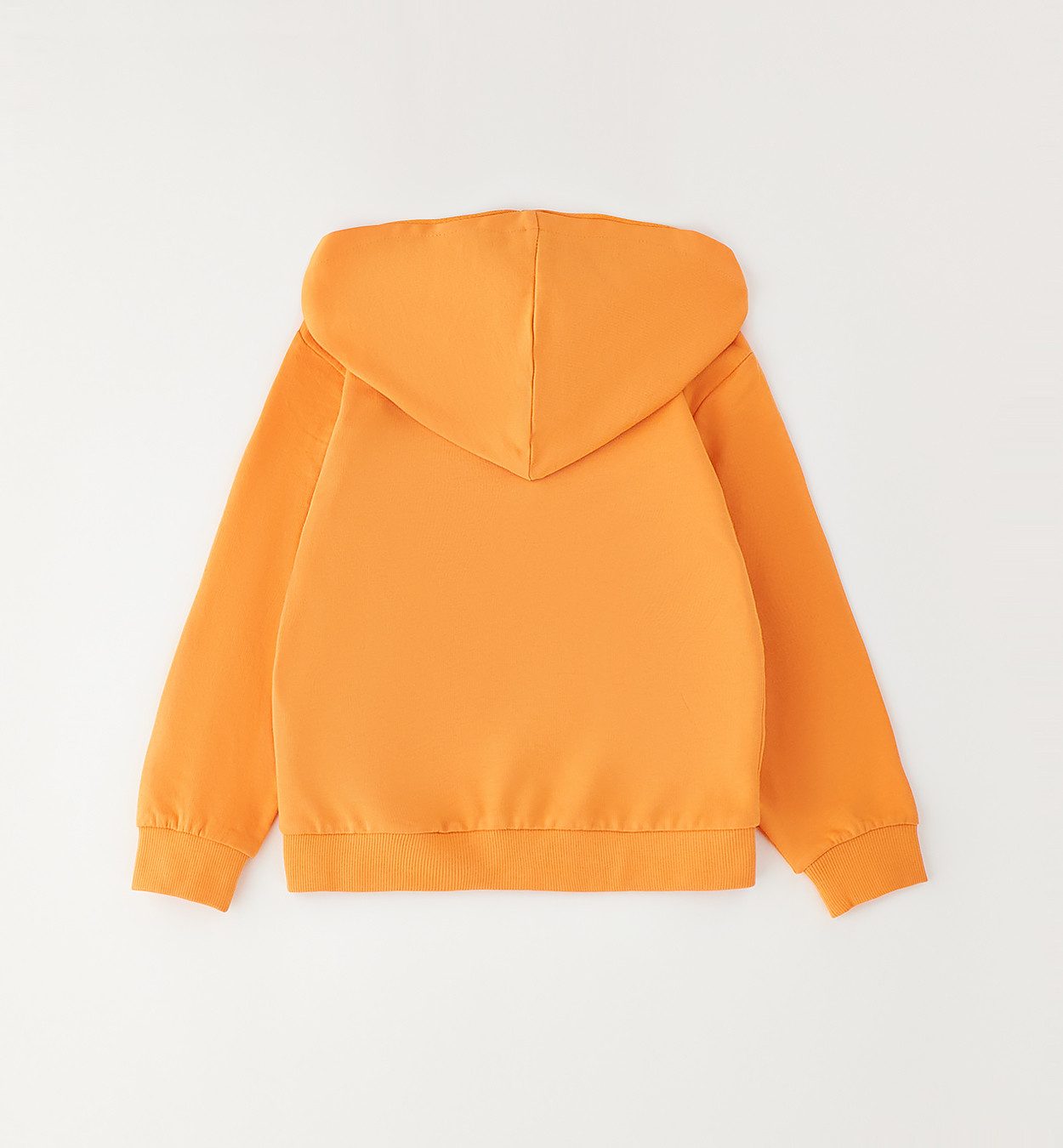 Sarabanda Sweatshirt BABY BOY SWEATER