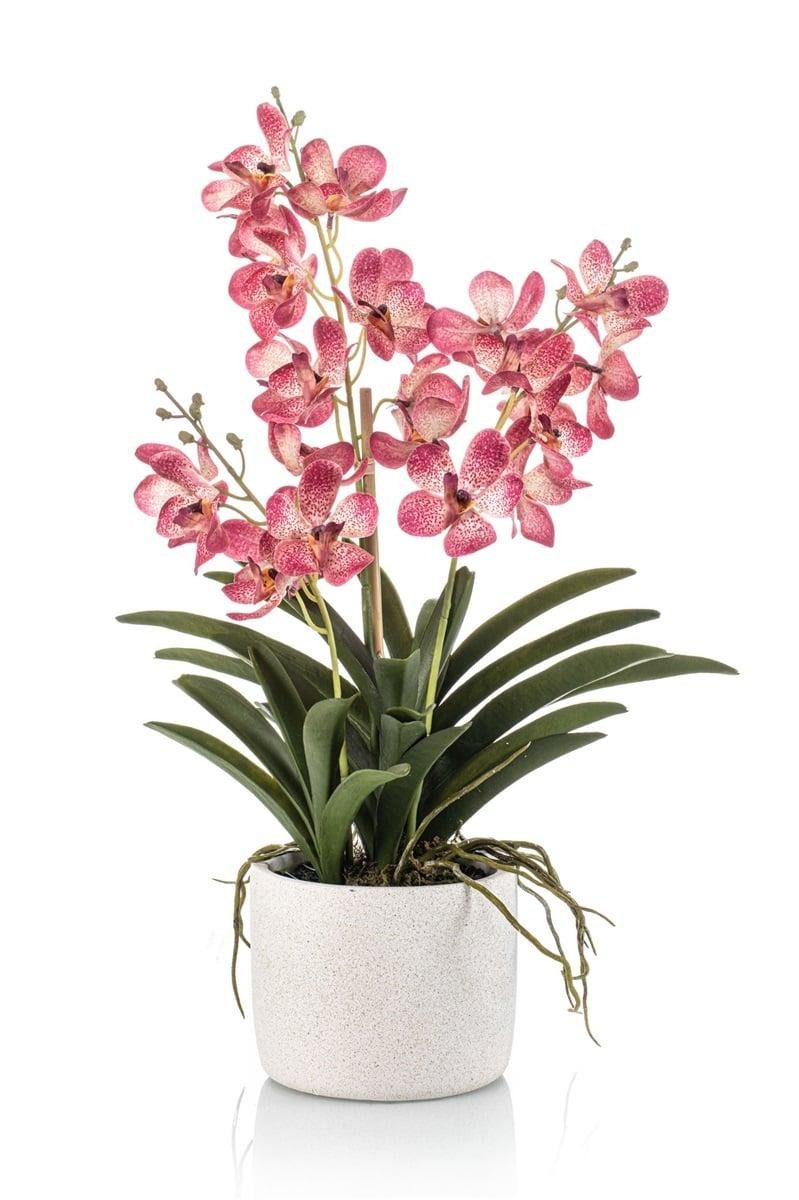 Kunstorchidee Deko Vanda Orchidee PAVRA im Keramiktopf, Wurzeln, pink-weiß, 60cm Orchidee (Orchidee vanda), artplants, Höhe 60.0 cm