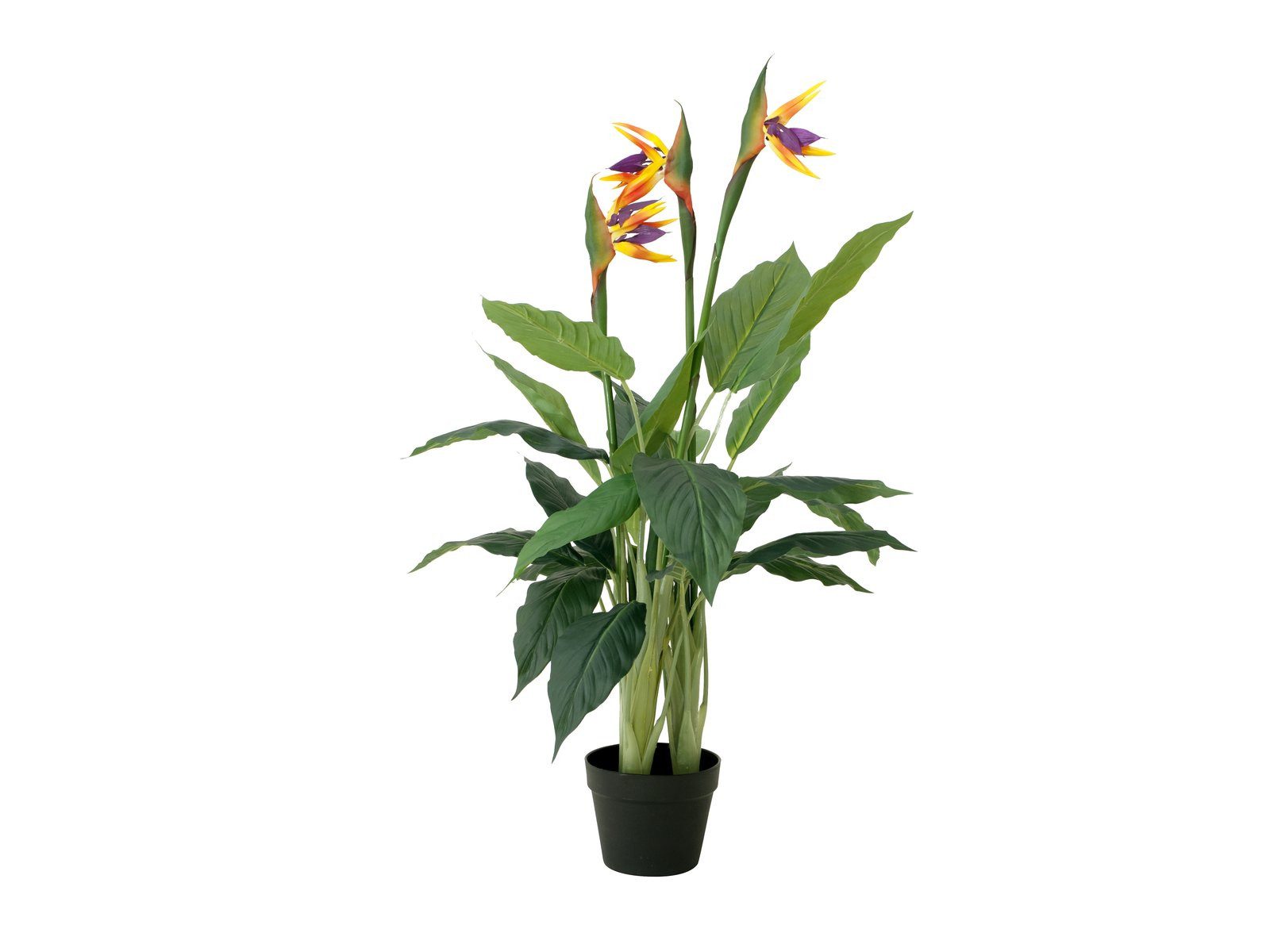 Kunstpflanze Strelitzie, 90cm