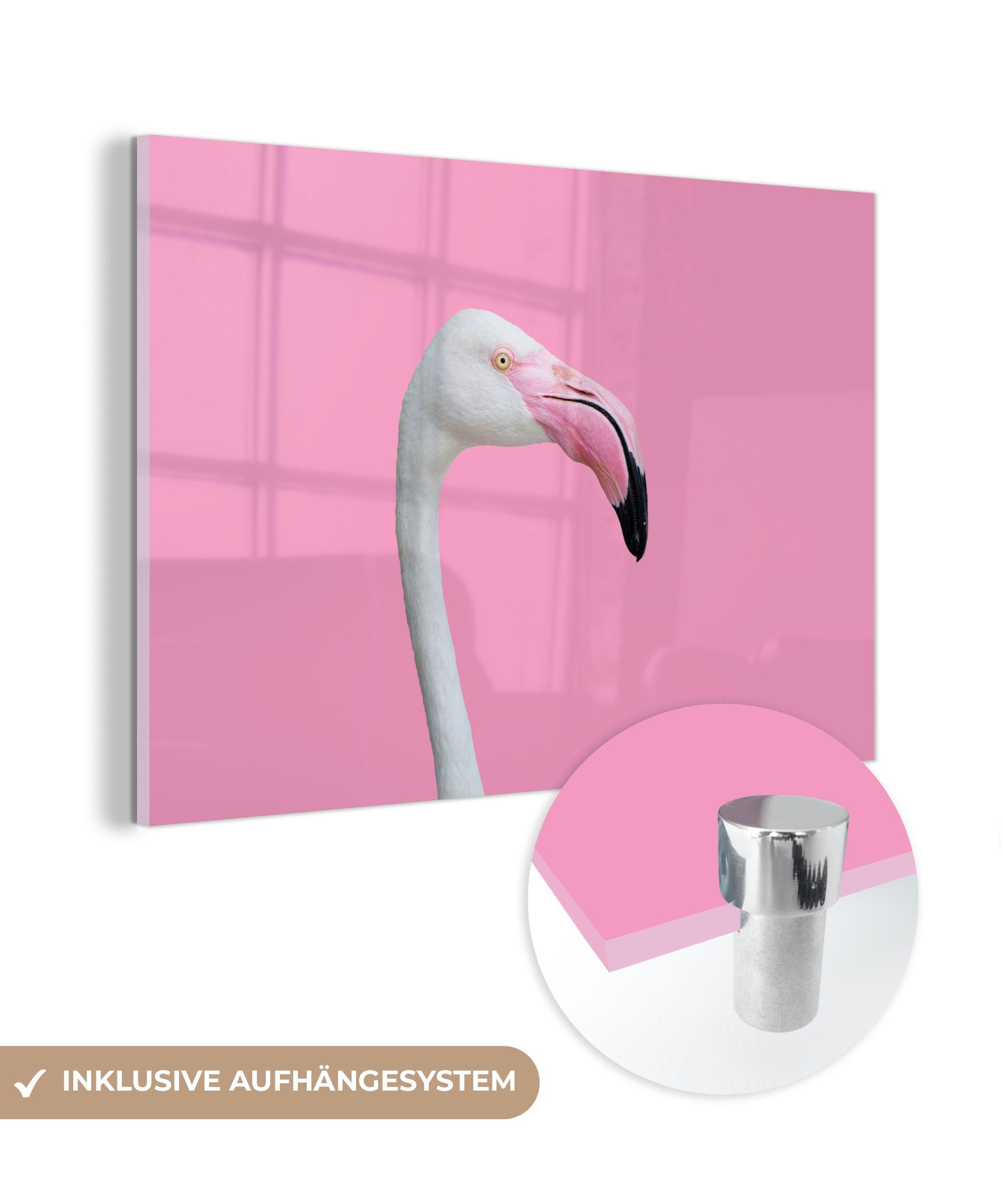 MuchoWow Acrylglasbild Weißer Flamingo Porträt, (1 St), Acrylglasbilder Wohnzimmer & Schlafzimmer