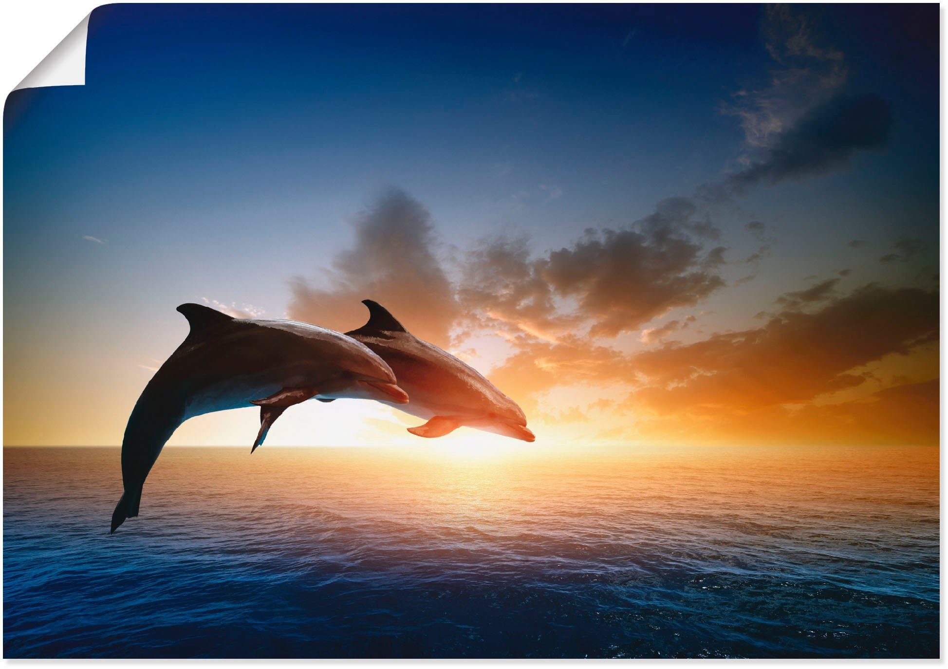 Artland Wandbild Delfinpaar, Wassertiere (1 St), als Alubild, Leinwandbild, Wandaufkleber oder Poster in versch. Größen