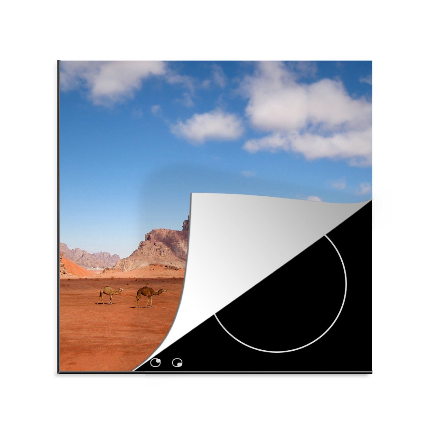 MuchoWow Herdblende-/Abdeckplatte Wadi Rum - Kamel - Wüste, Vinyl, (1 tlg), 78x78 cm, Ceranfeldabdeckung, Arbeitsplatte für küche