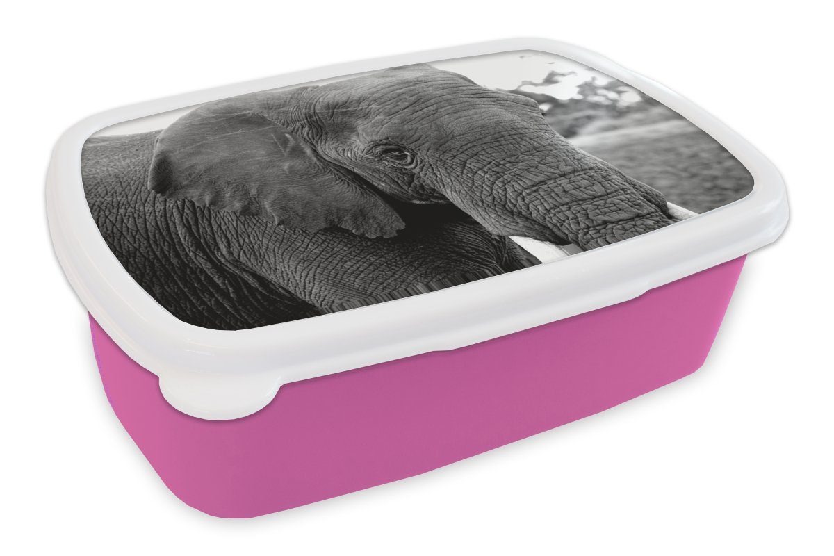 MuchoWow Lunchbox Elefant - Tiere - Schwarz - Weiß - Natur, Kunststoff, (2-tlg), Brotbox für Erwachsene, Brotdose Kinder, Snackbox, Mädchen, Kunststoff rosa