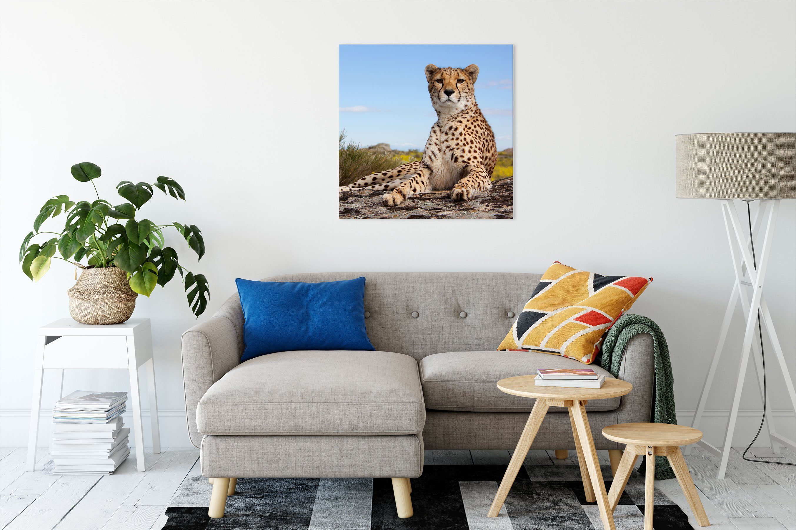 Leinwandbild (1 Pixxprint inkl. Savanne in Gepard in bespannt, Savanne, Leinwandbild Gepard Zackenaufhänger St), fertig