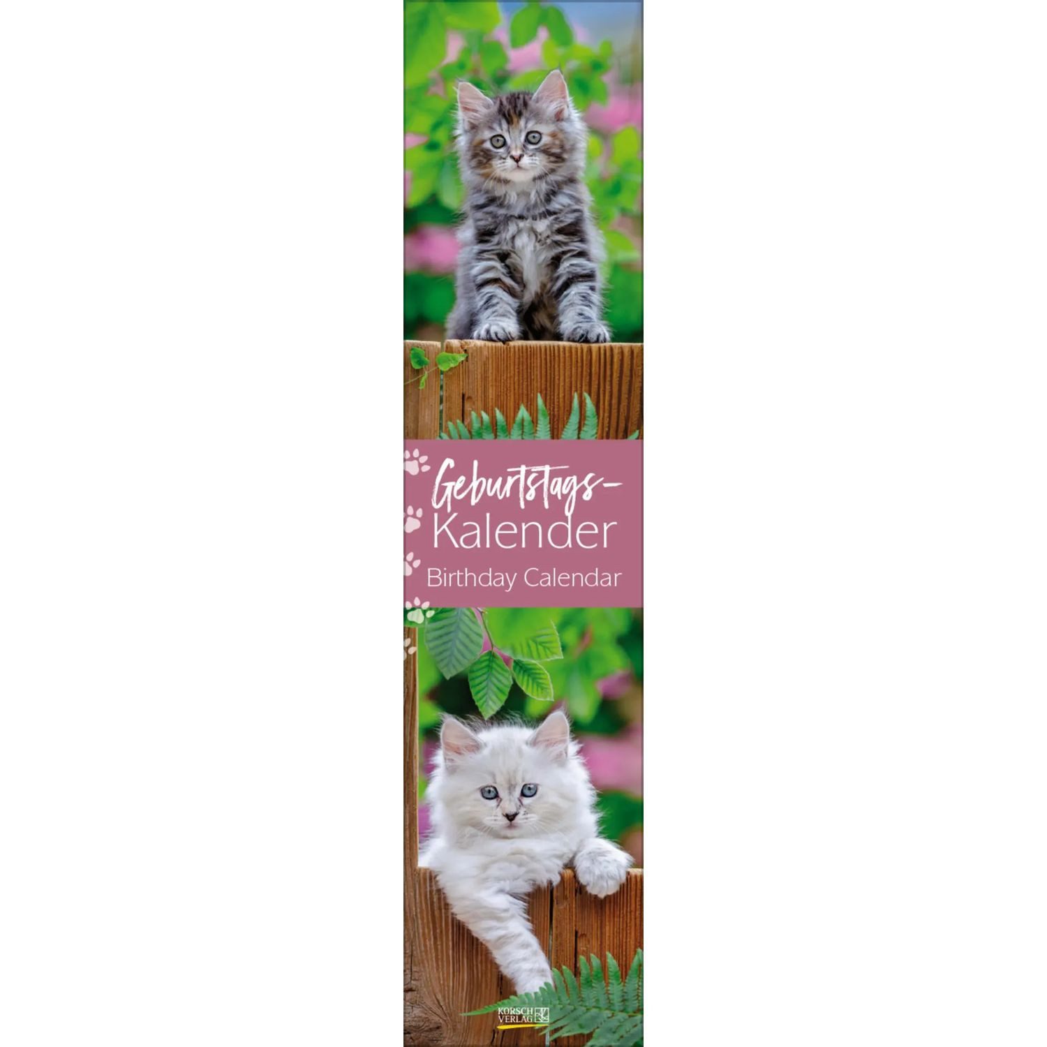 Korsch Verlag Wandkalender Geburtstags-Langplaner Cats