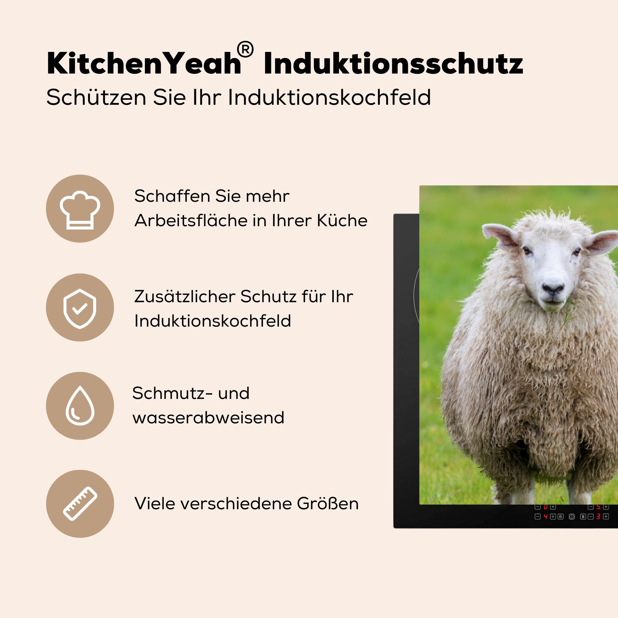 MuchoWow Herdblende-/Abdeckplatte Schafe Ceranfeldabdeckung, - Gras 78x78 küche cm, Arbeitsplatte (1 Nutztier, für tlg), Vinyl, 