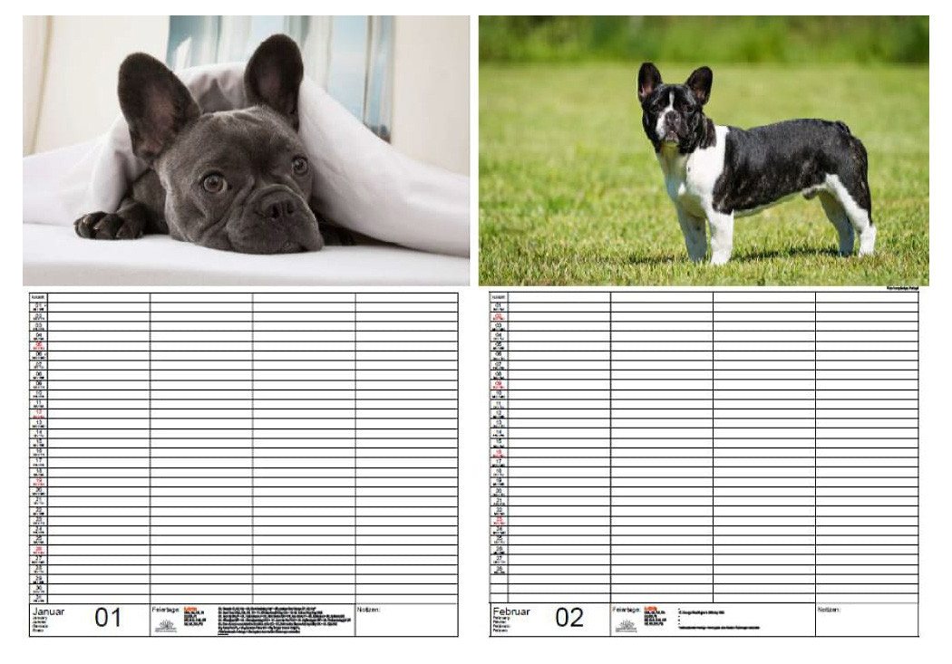 Thumbnail - Seelenzauber Familienkalender Bulldoggenzauber Familien Planer Kalender für 2025 DIN A3 Bulldoggen