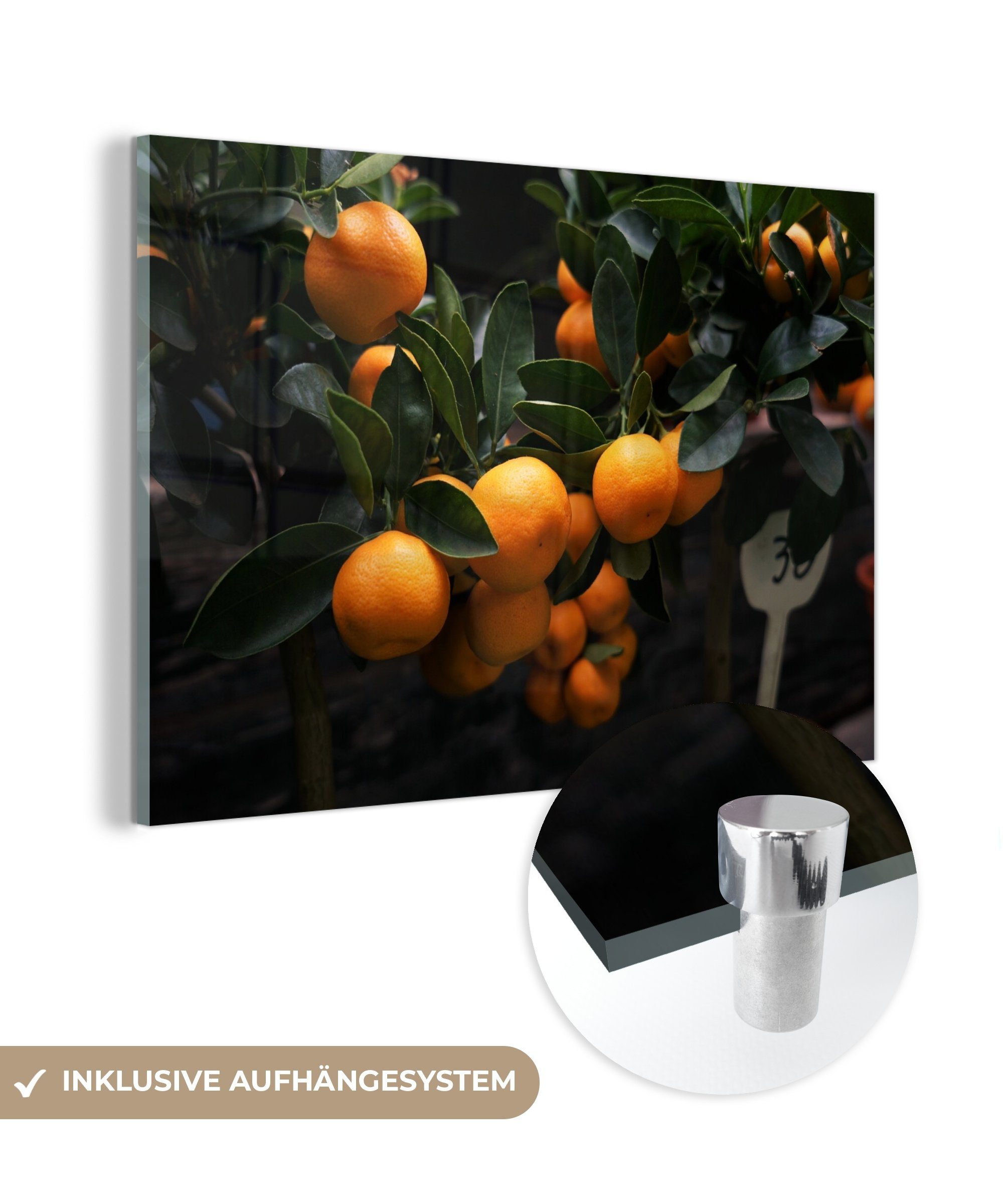MuchoWow Acrylglasbild Obst - Orange - Baum, (1 St), Acrylglasbilder Wohnzimmer & Schlafzimmer