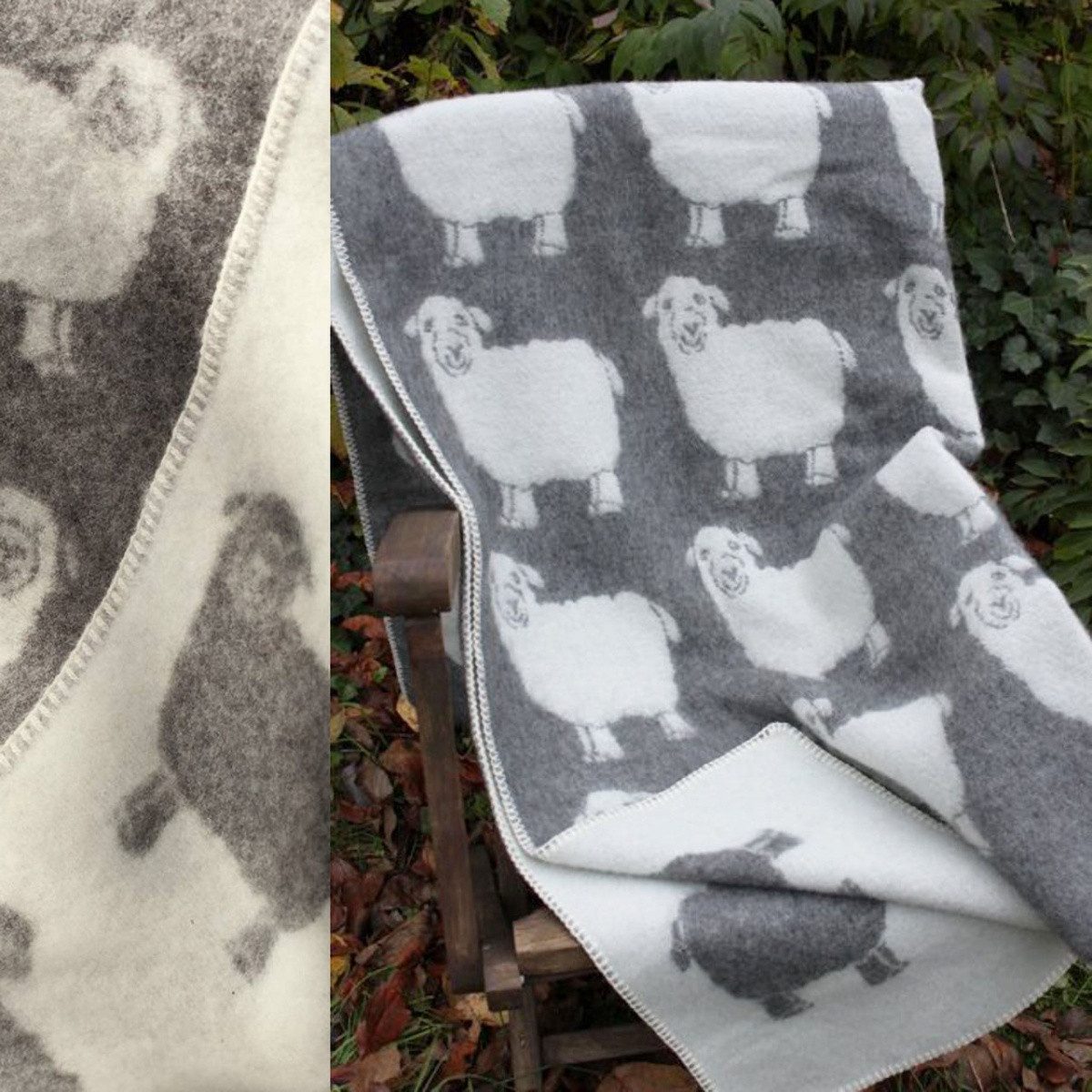 Babydecke Lamm, Island Wollparadies, Kuscheldecke aus günstig online kaufen