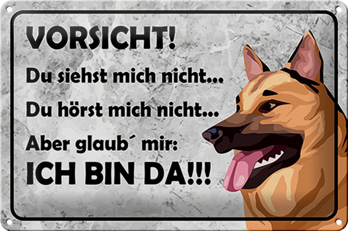 Hebold Metallschild Schild Blech 30x20cm - Made in Germany - Vorsicht Hund Du siehst mich