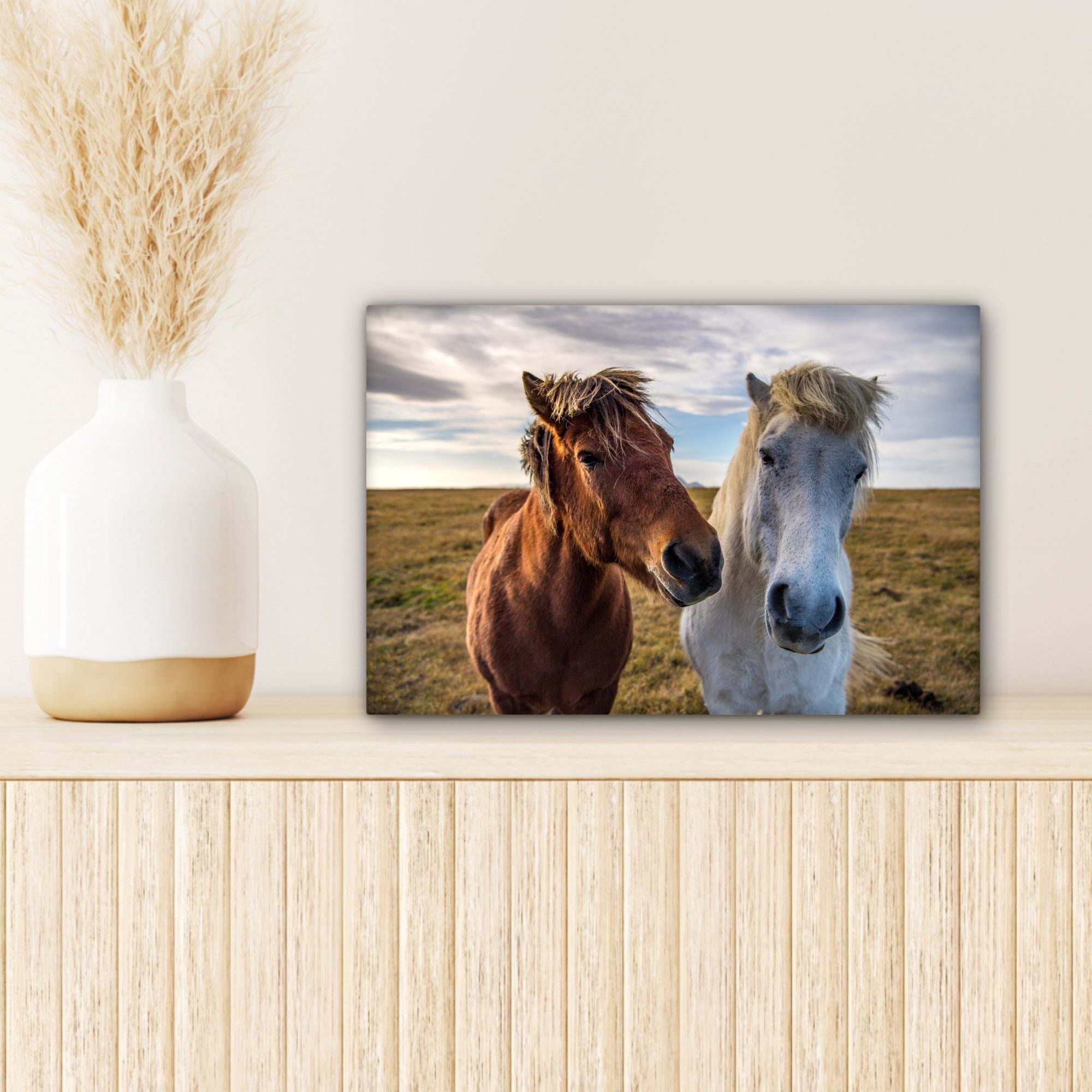 OneMillionCanvasses® Leinwandbild 30x20 einer auf Leinwandbilder, Wanddeko, Ponys cm (1 St), Wiese, Wandbild Isländische Aufhängefertig