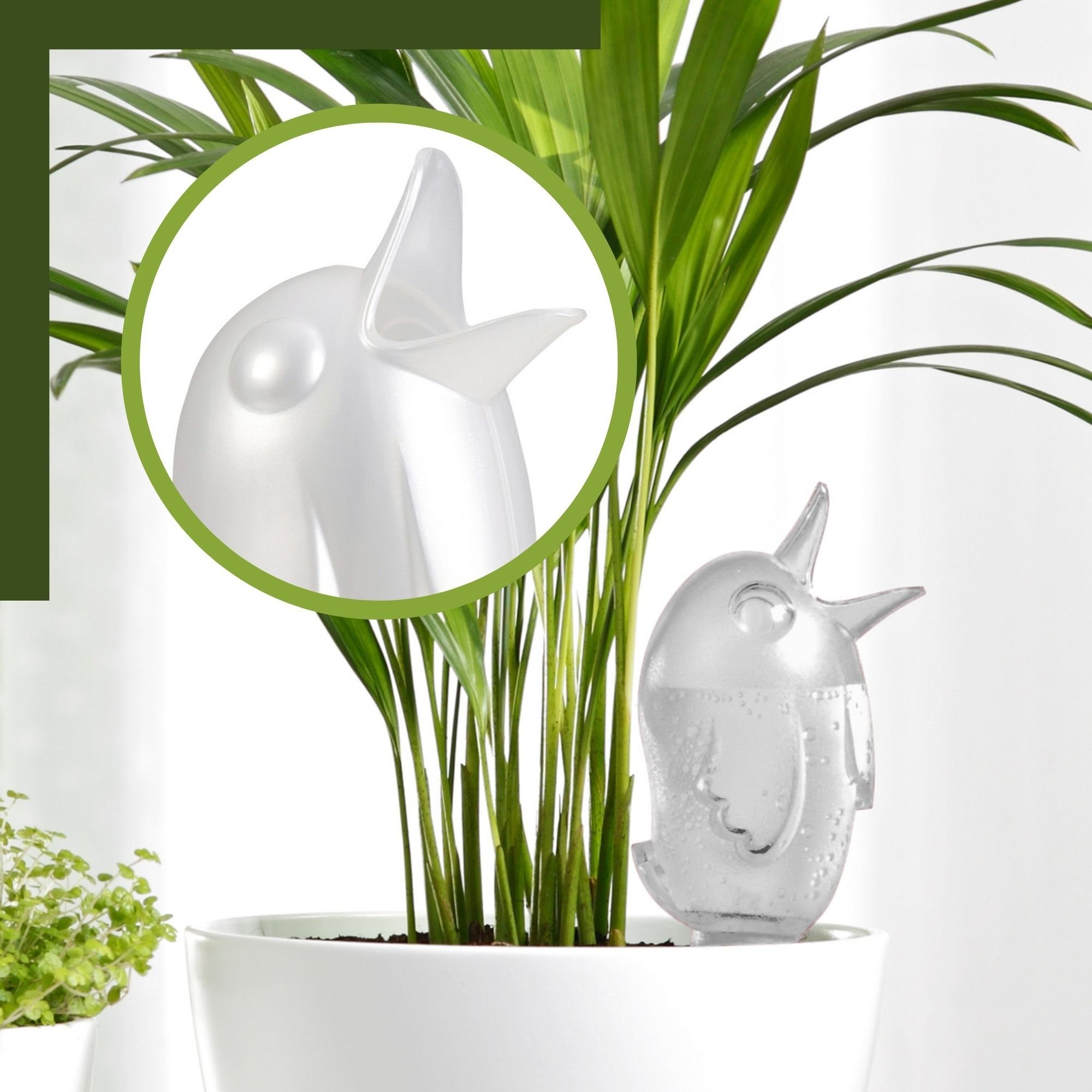 Scheurich Bewässerungssystem -, (Spar-Set, 24-tlg), Scheurich Wasserspender Bördy M 220 ml