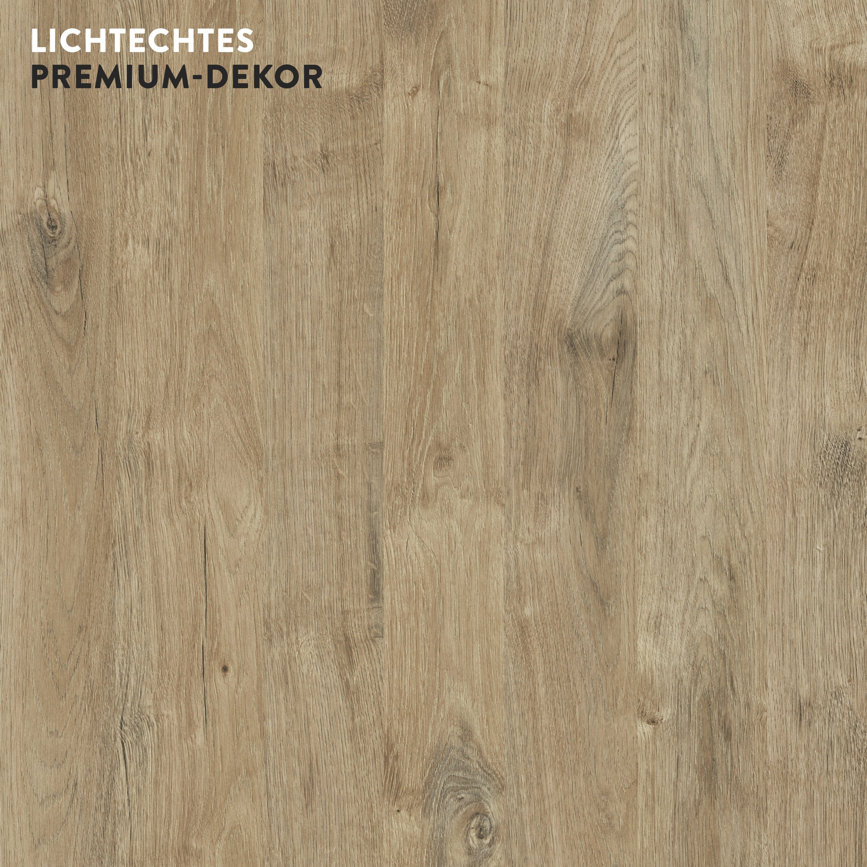 boho office® Schreibtischplatte, Tischplatte in Wildeiche - 120 x 80 cm - 25mm stark - pflegeleicht