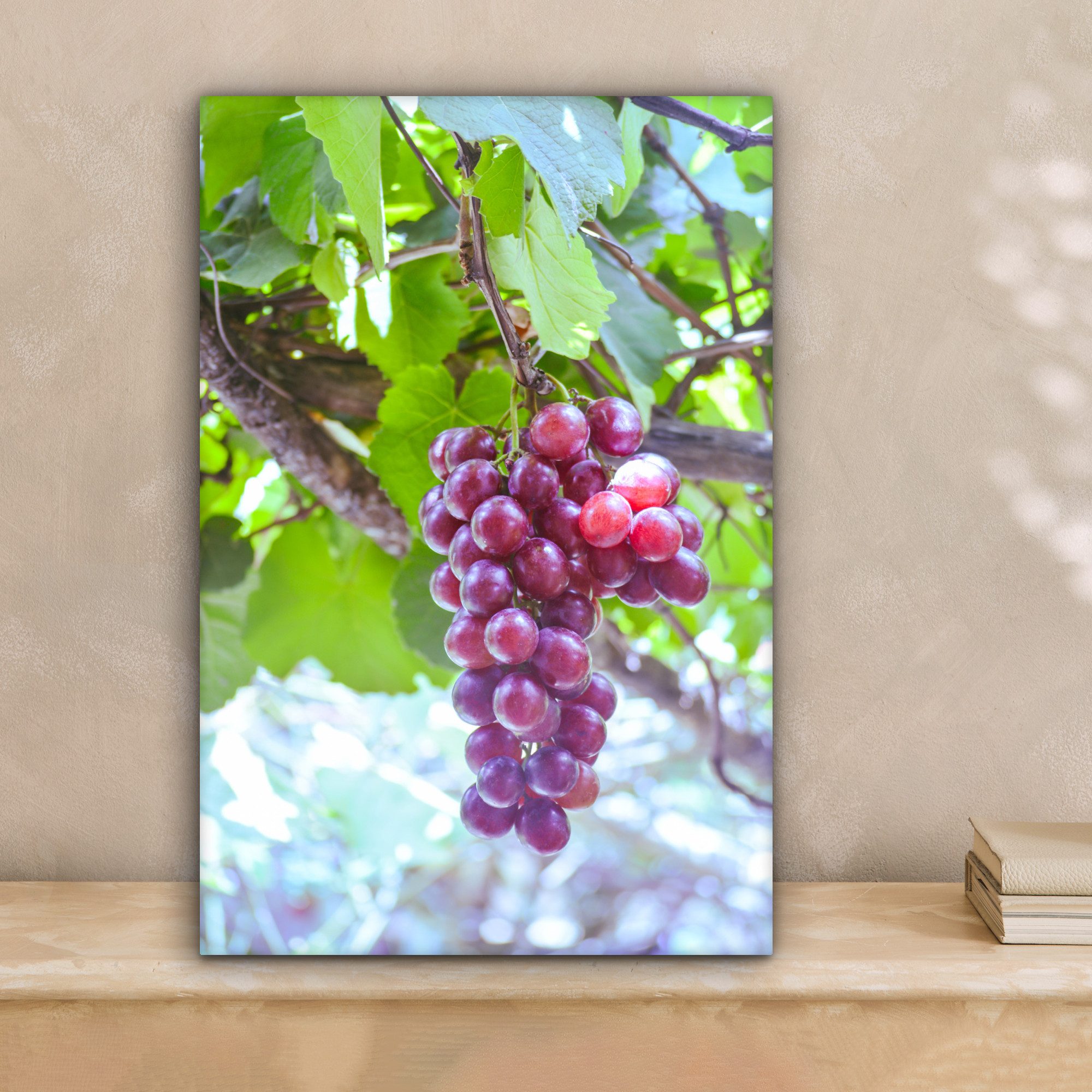 OneMillionCanvasses® Leinwandbild Rote Trauben im Weinberg auf einem Zweig, Fotodruck (1 St), Leinwand Canvas Wandbild, Wanddekoration 20x30 cm – Bild 2 von 5