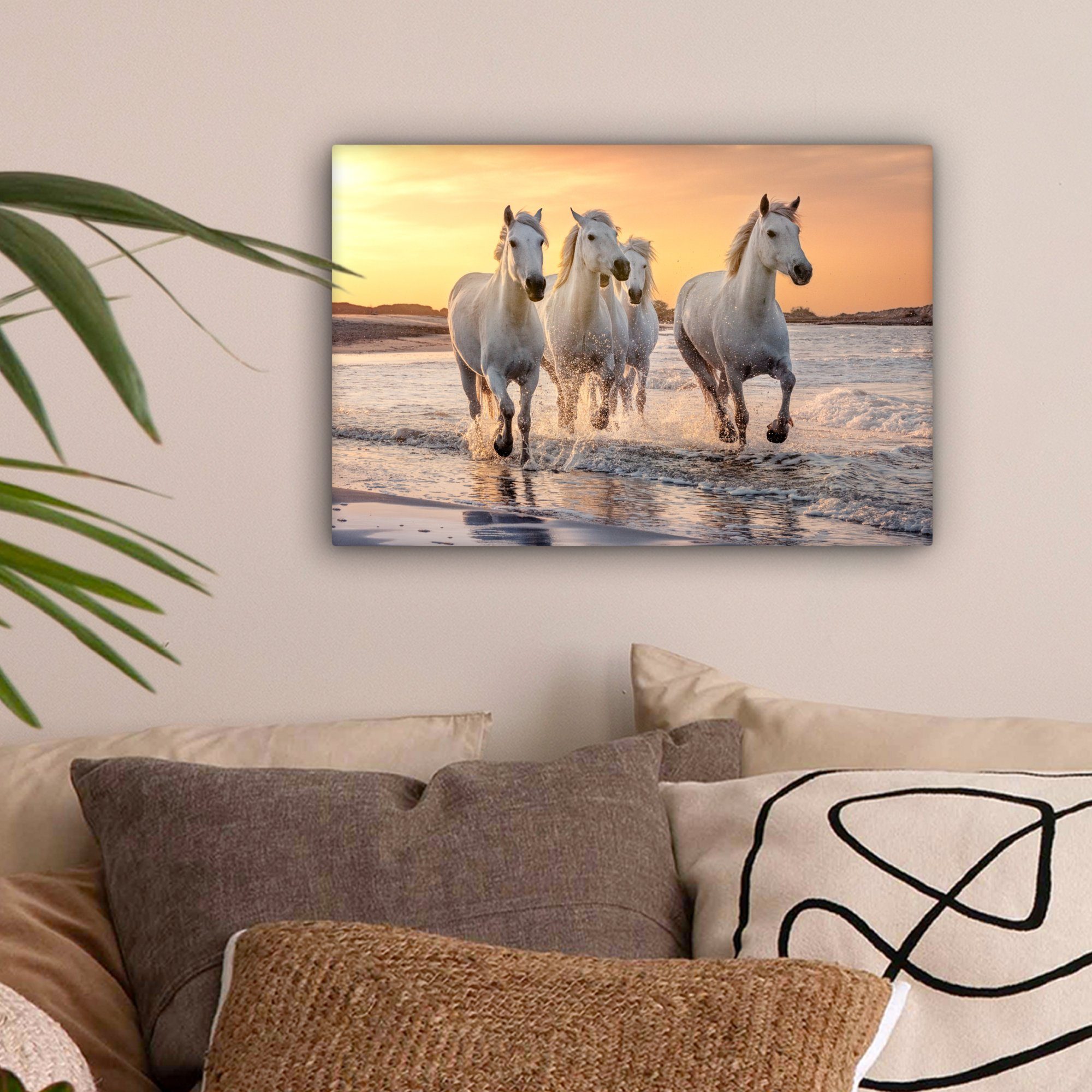 OneMillionCanvasses® Leinwandbild Pferde - Sonne - Meer - Strand - Tiere, F günstig online kaufen
