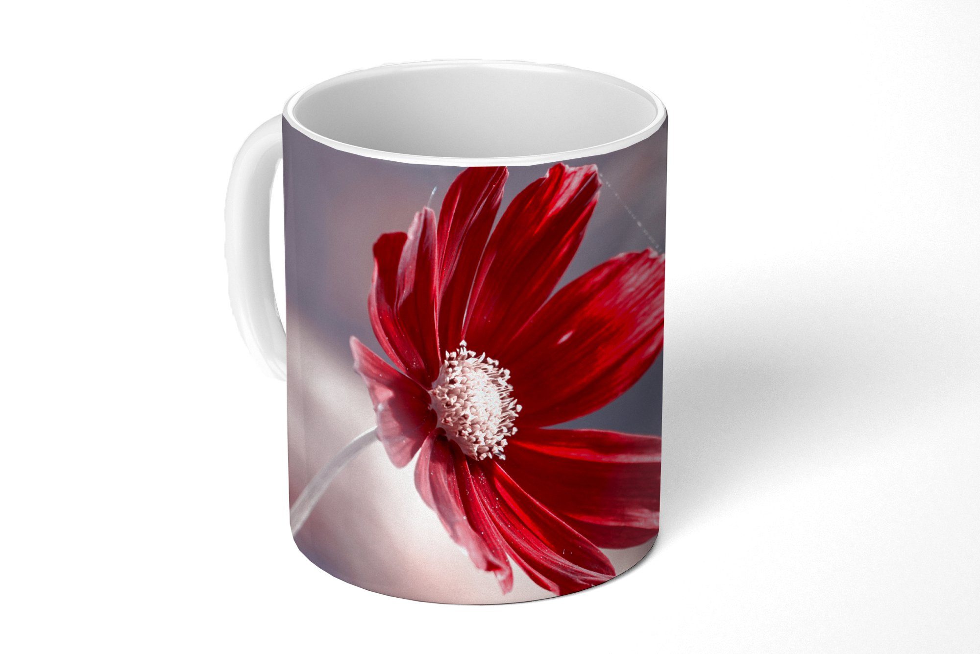 - Blumen Teetasse, Natur Keramik, Rot Pflanzen, - - Tasse Geschenk Kaffeetassen, MuchoWow Teetasse, Becher,