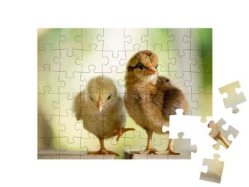 puzzleYOU Puzzle Zwei süße kleine Küken, 48 Puzzleteile, puzzleYOU-Kollektionen Hühner & Küken
