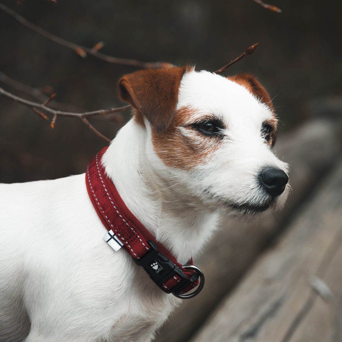 HURTTA Hunde-Halsband Casual Halsband weinrot