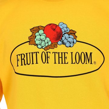 Fruit of the Loom Sweatshirt Sweatshirt mit Vintage-Logo