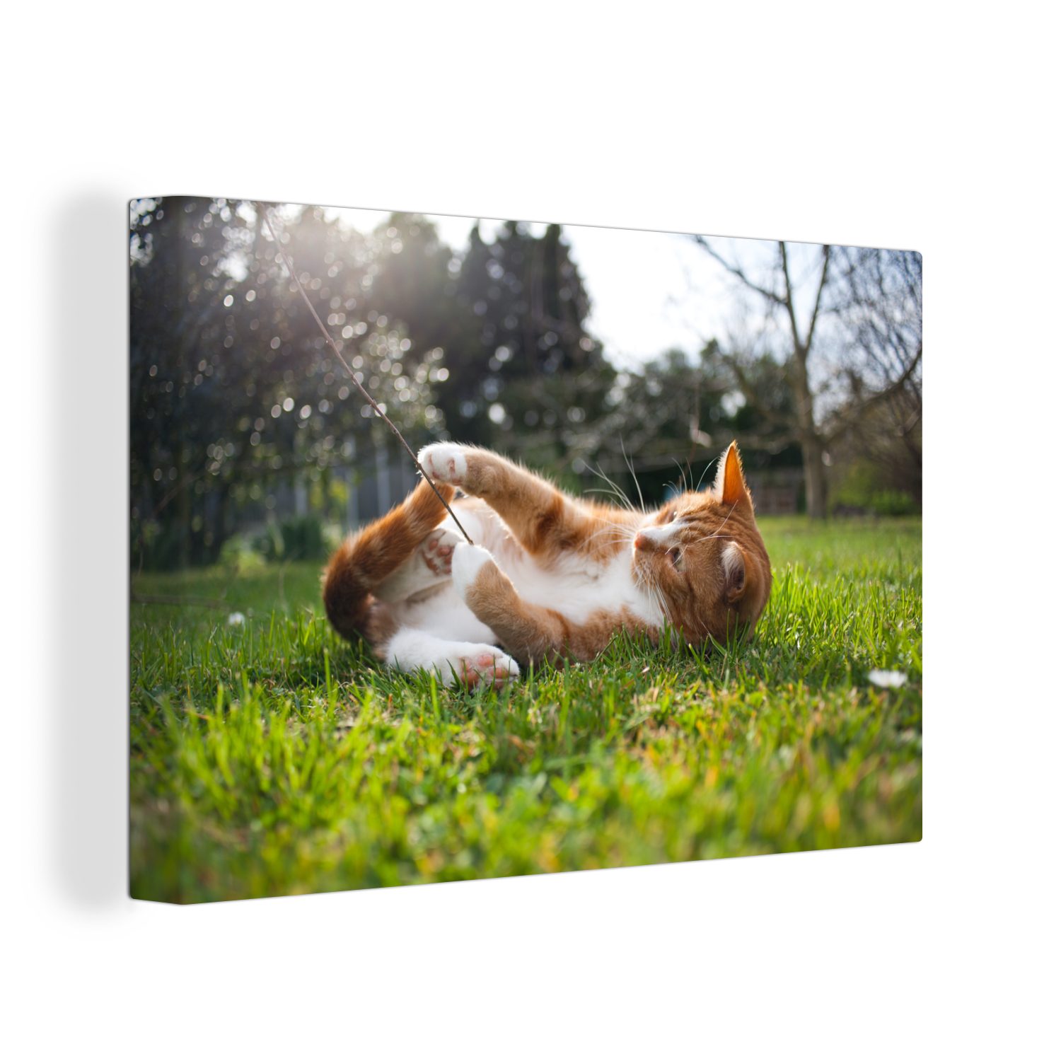 OneMillionCanvasses® Leinwandbild Katze spielt im Gras, (1 St), Wandbild Leinwandbilder, Aufhängefertig, Wanddeko, 30x20 cm