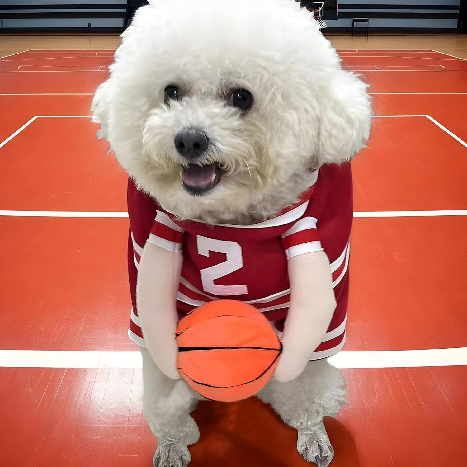 FELIXLEO Geflügeltränke Lustiges Hunde Kostüm im Basketball Design aus Sportstoff für Tiere
