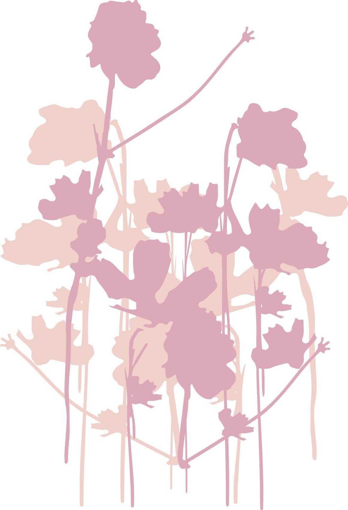 Liliput mit niedlichen Frontprints Body
