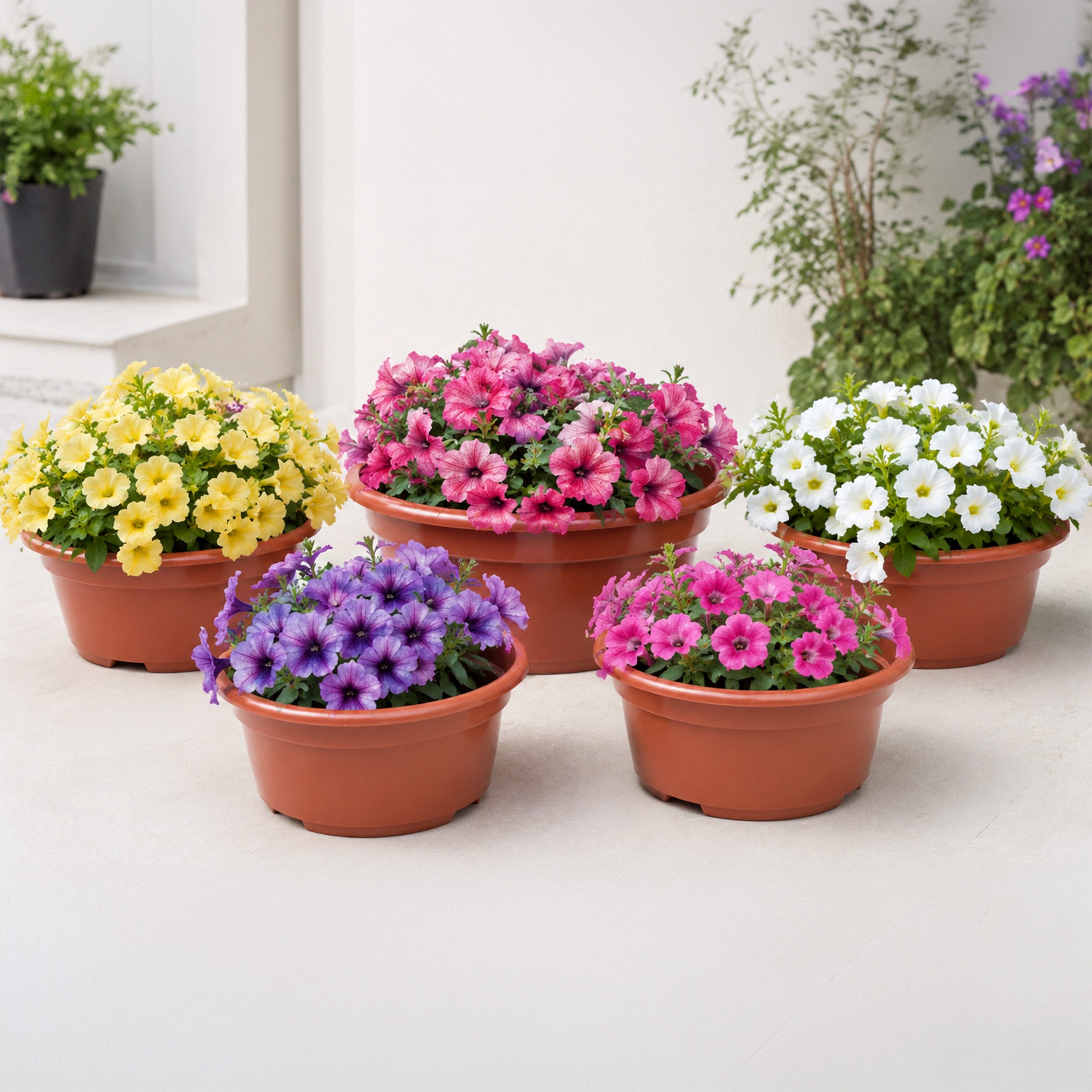 Garronda Blumentopf rund Pflanzschale Kunststoff mit Drainage für Wurzelpflanzen GD-0207A (5 St., 5er Set) – Bild 4 von 5
