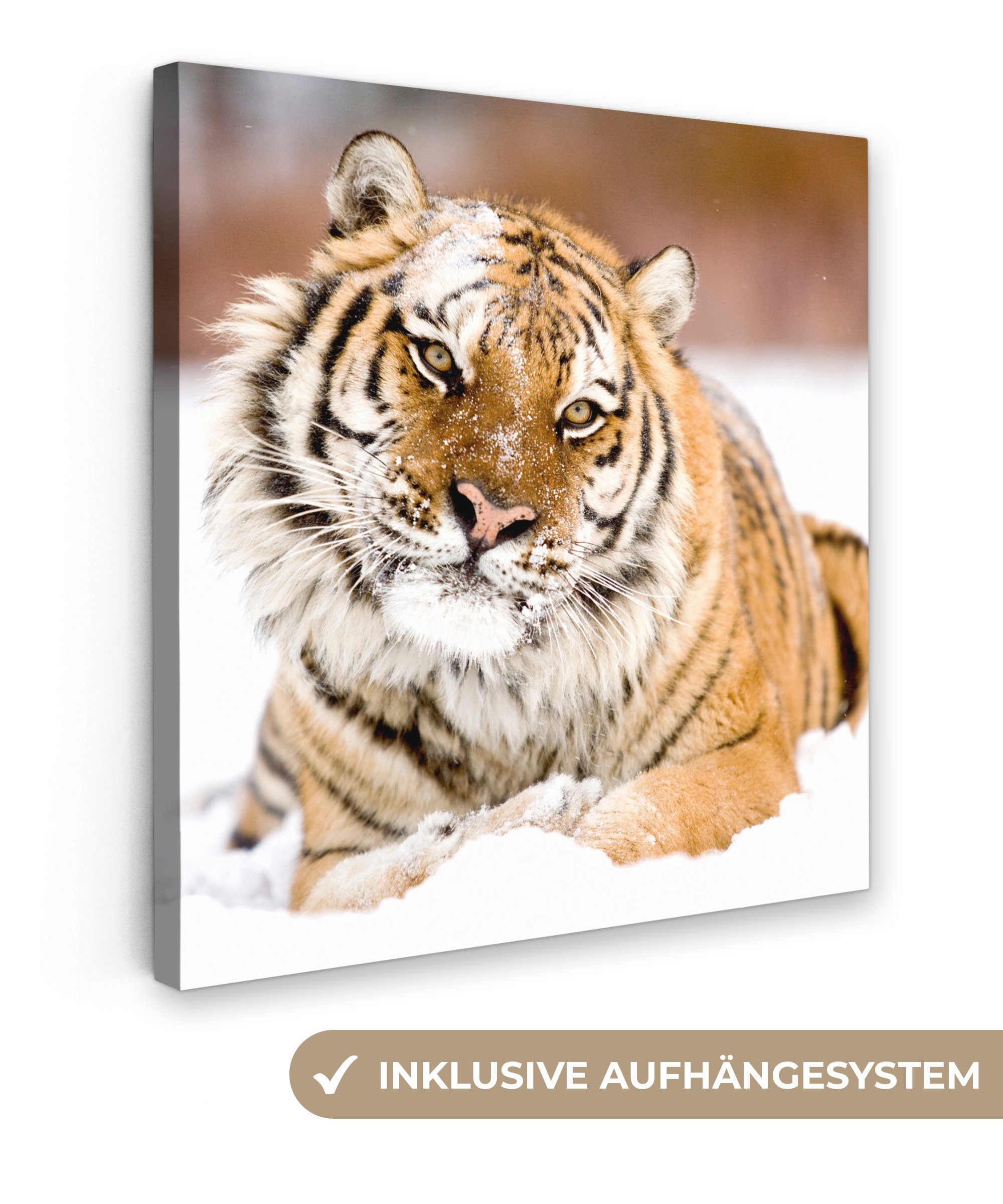 OneMillionCanvasses® Leinwandbild Tiger - Schnee - günstig online kaufen