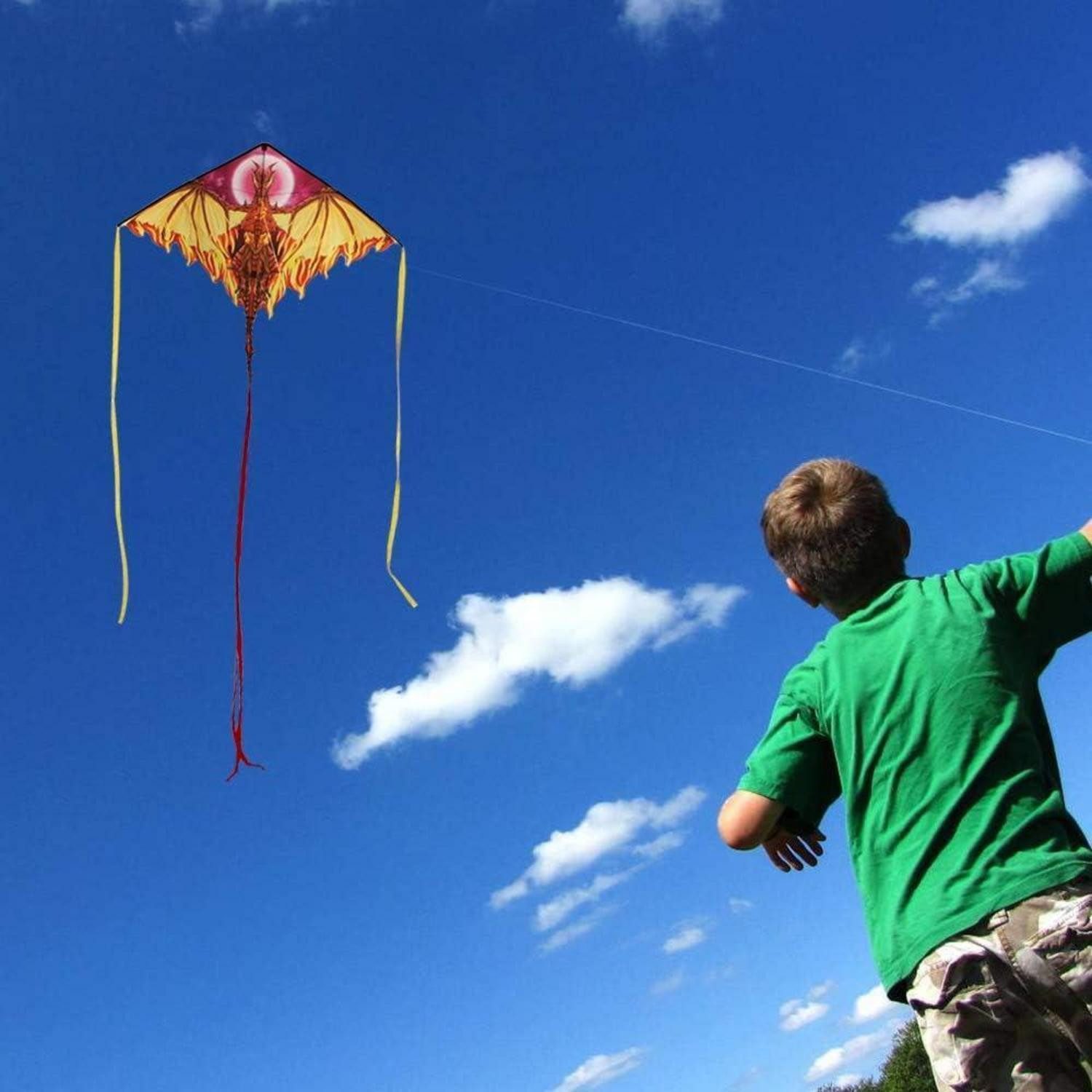 LuxusKollektion Flug-Drache Drachen Drache für Kinder Erwachsene, einleiner Drachenflieger