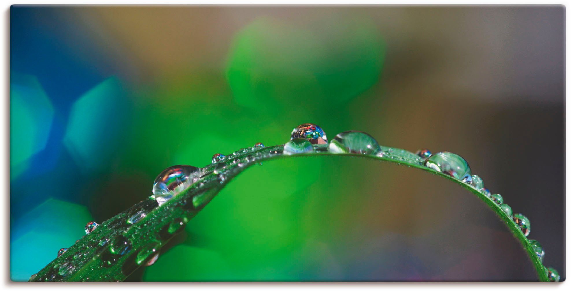 Artland Wandbild Wassertropfen IV, Gräser (1 St), als Leinwandbild,  Wandaufkleber oder Poster in versch. Größen, Fertig zum Aufhängen für  einfache Montag | Poster