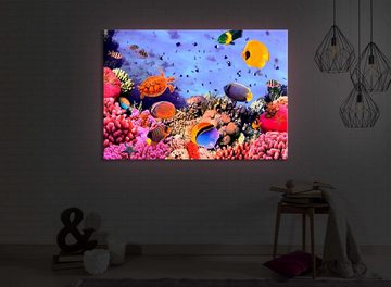 lightbox-multicolor LED-Bild Bunte Fische über Korallenriff front lighted / 60x40cm, Leuchtbild mit Fernbedienung