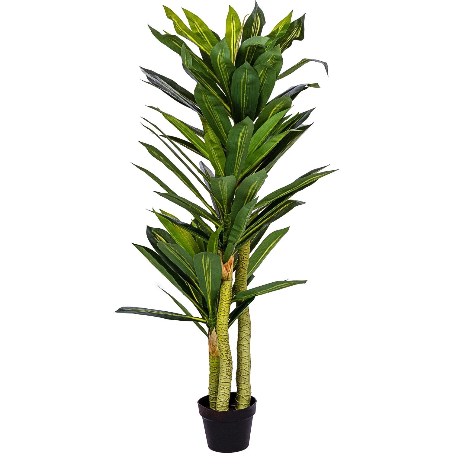 Kunstbaum Künstlicher Drachenbaum Kunstpflanze Dracena Drachenbaum,  PLANTASIA, Höhe 120,00 cm, 120 cm, 81 Blätter und 3 Stämme, Echtholzstamm