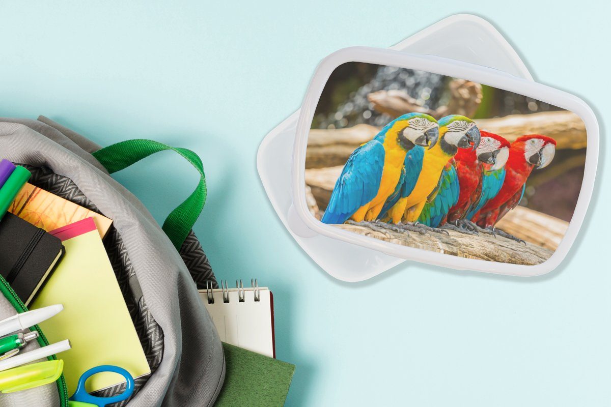 - Papagei weiß für Kinder Vögel und Brotdose, Jungs Brotbox - und Tropisch (2-tlg), Erwachsene, Lunchbox Kunststoff, - Mädchen Natur, für MuchoWow