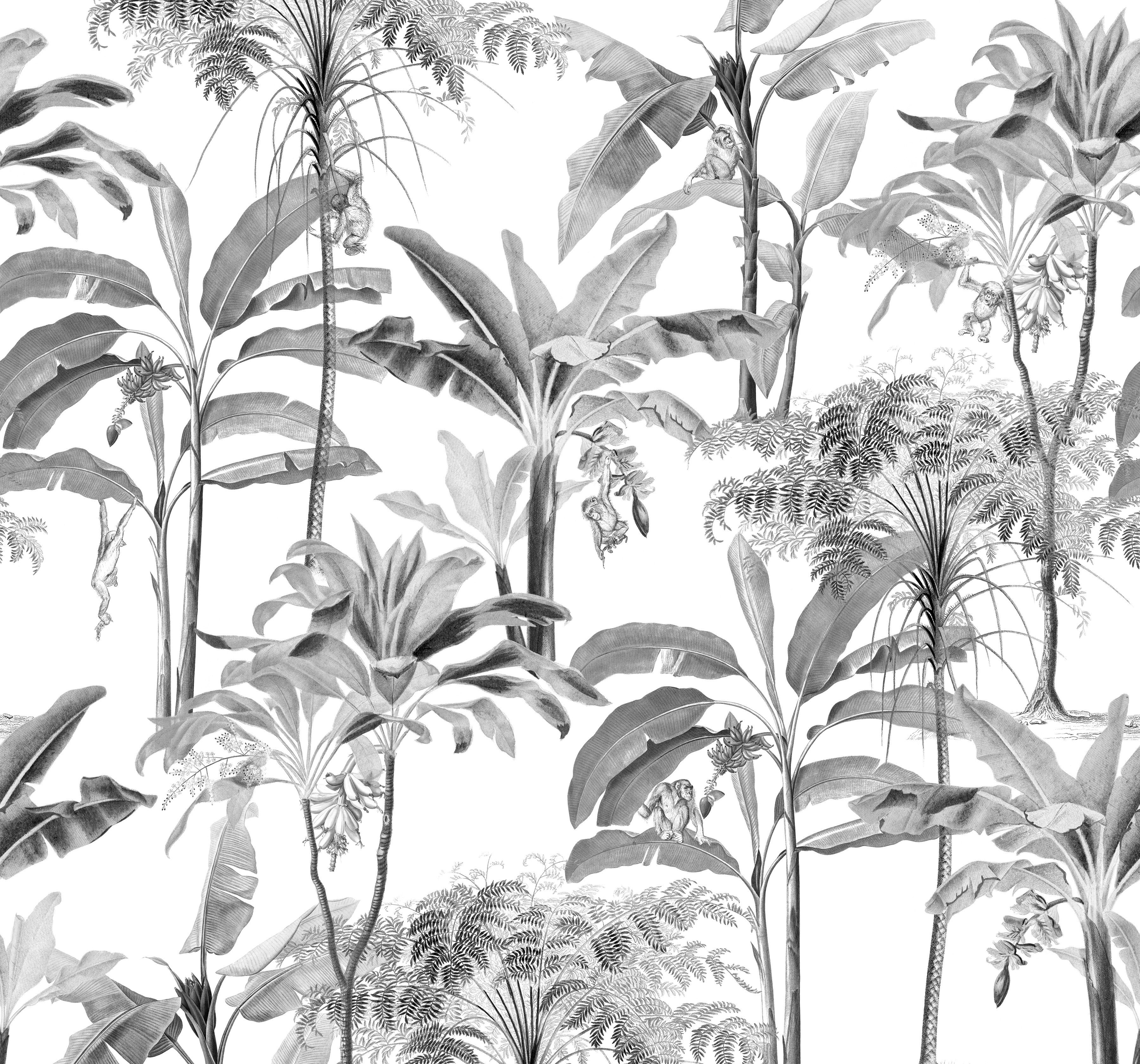 Superfresco Easy Fototapete Milou, glatt, botanisch, (1 St), Grau - 300x280cm