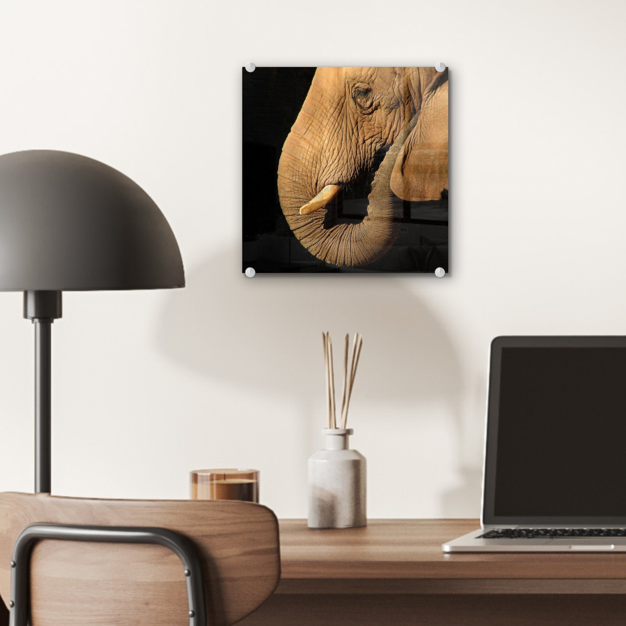 Elefant Schwarz, Nahaufnahme auf - - (1 Tiere Glas St), auf - Glas Acrylglasbild Wandbild Foto - Bilder - Wanddekoration - MuchoWow Glasbilder