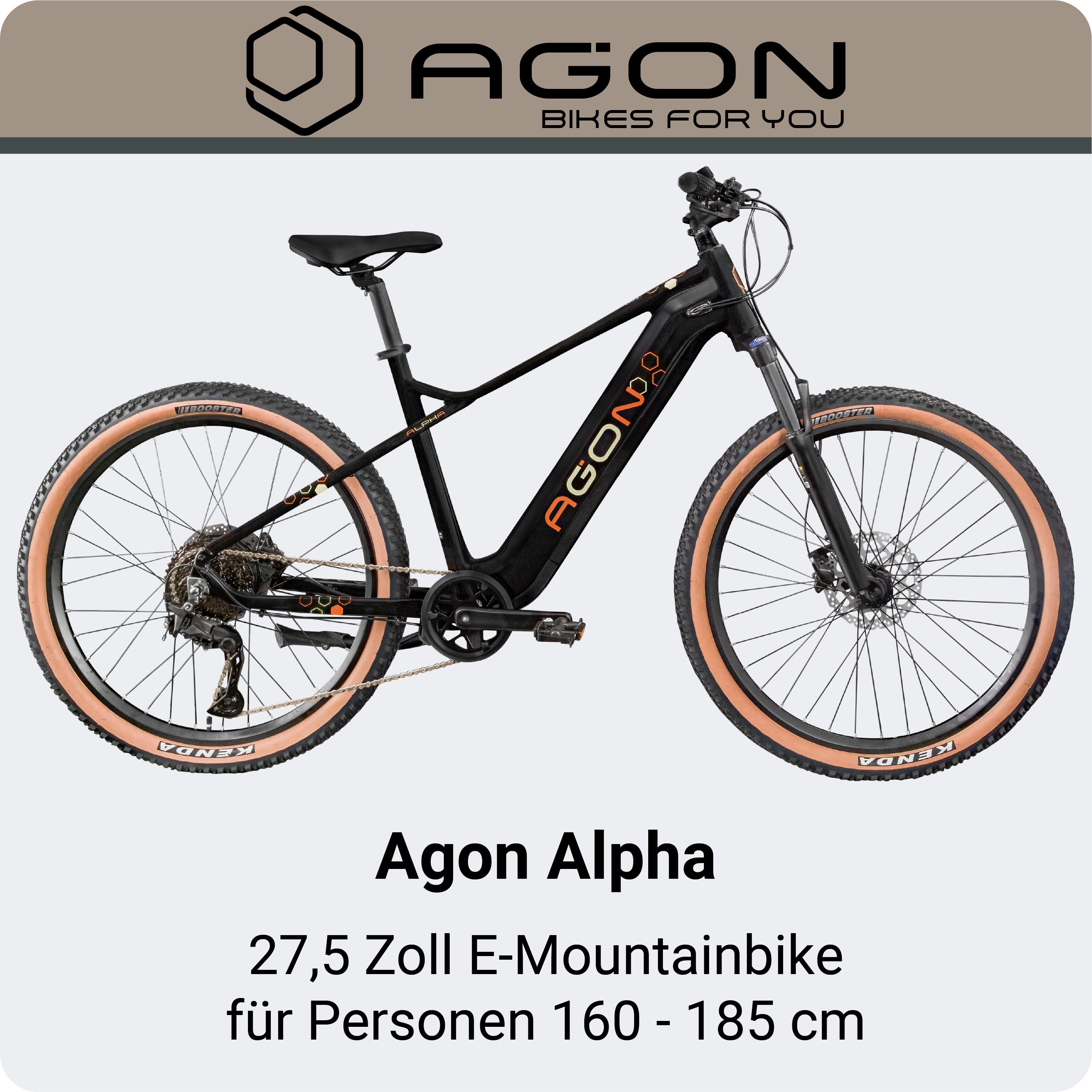 AGON E-Bike Mountainbike Alpha, 10 Gang Shimano Deore SGS T6000 Schaltwerk, Kettenschaltung, Heckmotor, 540 Wh, E Bike Mountainbike Herren oder Damen 160 - 185 cm