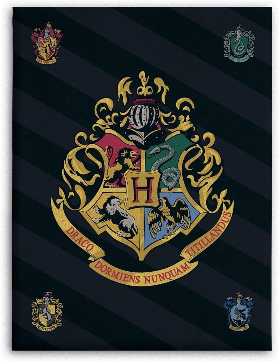 Wohndecke Harry Potter Hogwarts Wappen Fleecedecke 100 x 140 cm, BrandMac