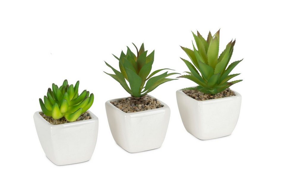 Künstliche Zimmerpflanze MID-Set Sukkulenten Sukkulente, joycraft, Höhe 11  cm, Wüstenpflanzenimitate im Porzellantopf