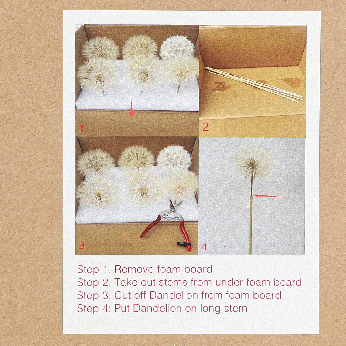 Trockenblume Deko-Pusteblume Weiß Ø11cm 6er Set Trockenblume Deko elegant, 6 Stück, Florists Products, Höhe 5.5 cm