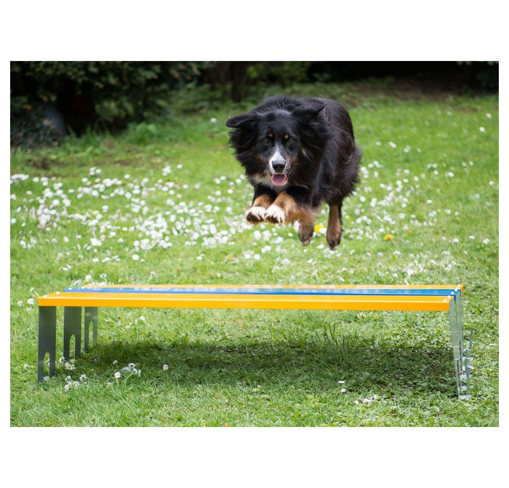 Thumbnail - Procyon Agility-Hürde PROCYON Dog Agility Profi Weitsprung-Hürde