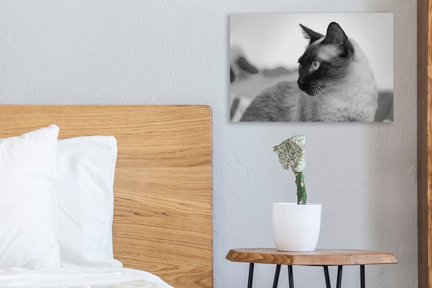 cm Leinwandbilder, Aufhängefertig, Wanddeko, weiß, OneMillionCanvasses® Leinwandbild Siamkatze (1 St), 30x20 schwarz - und Wandbild