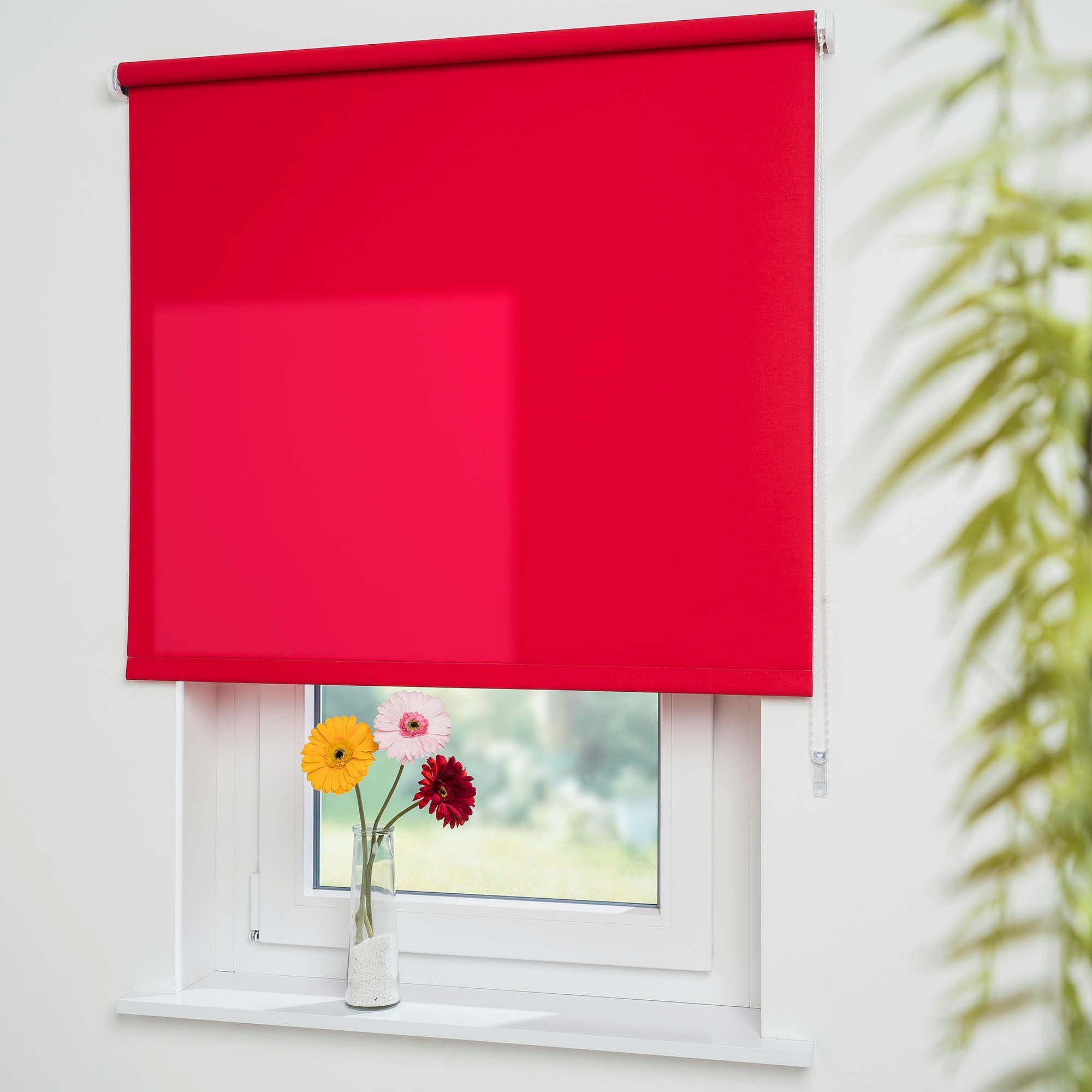 Seitenzugrollo Uni, Liedeco, Lichtschutz, mit Bohren, günstig online kaufen