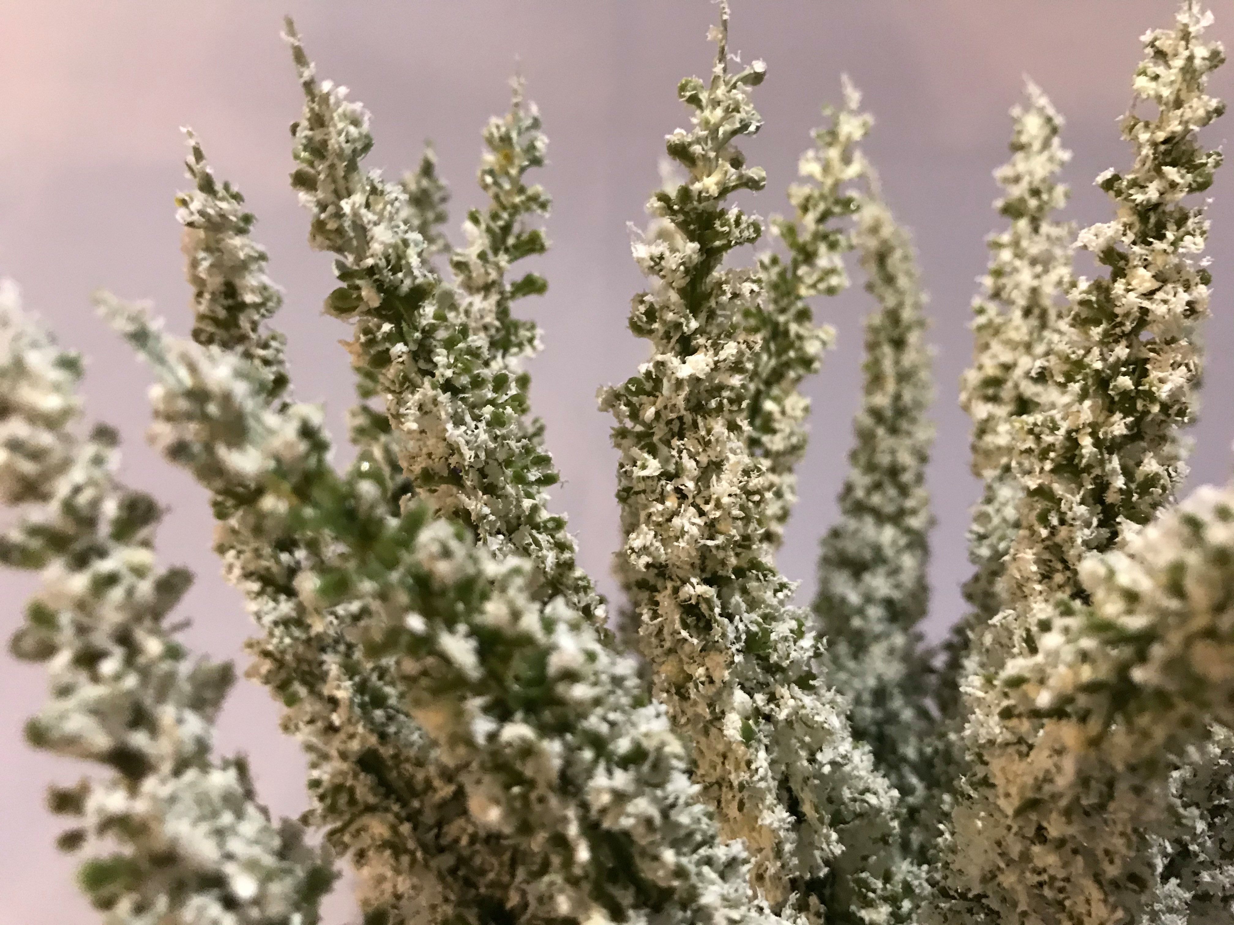 Kunstblume Erika Calluna auf Steckstab, Heidekraut 28cm mit 24 Blütenstiele günstig online kaufen