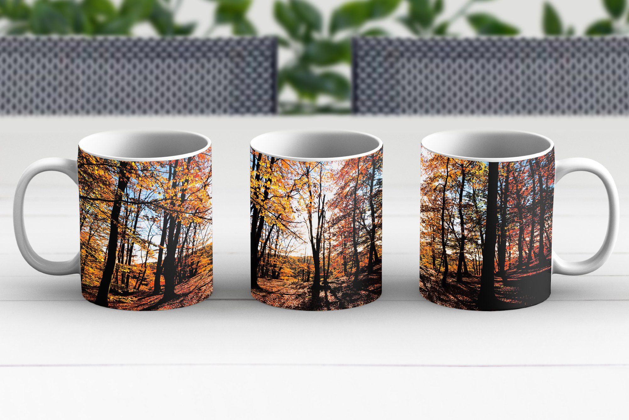 in in Geschenk Schweden, des Herbstfarben den Tasse Nationalparks Teetasse, Becher, Teetasse, MuchoWow Keramik, Söderåsen Wäldern Kaffeetassen,