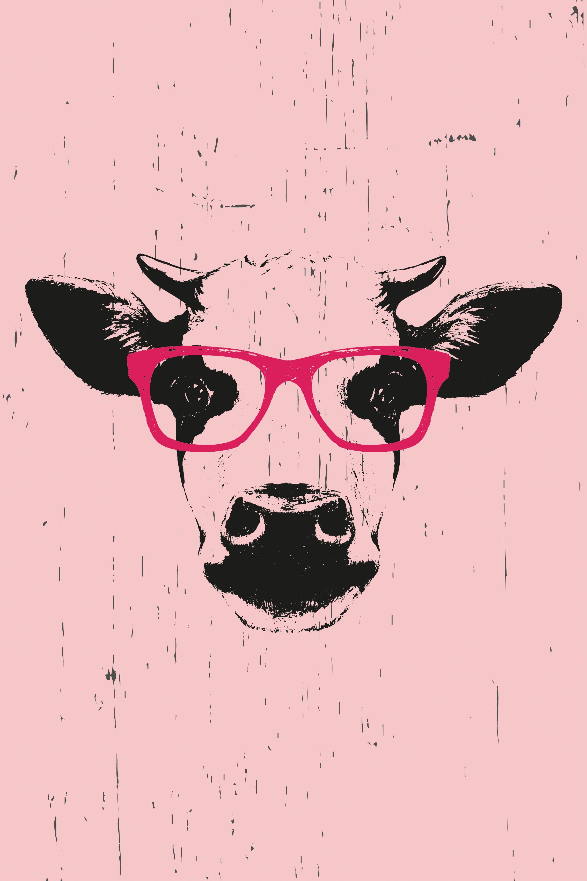 queence Leinwandbild mit Brille Kuh