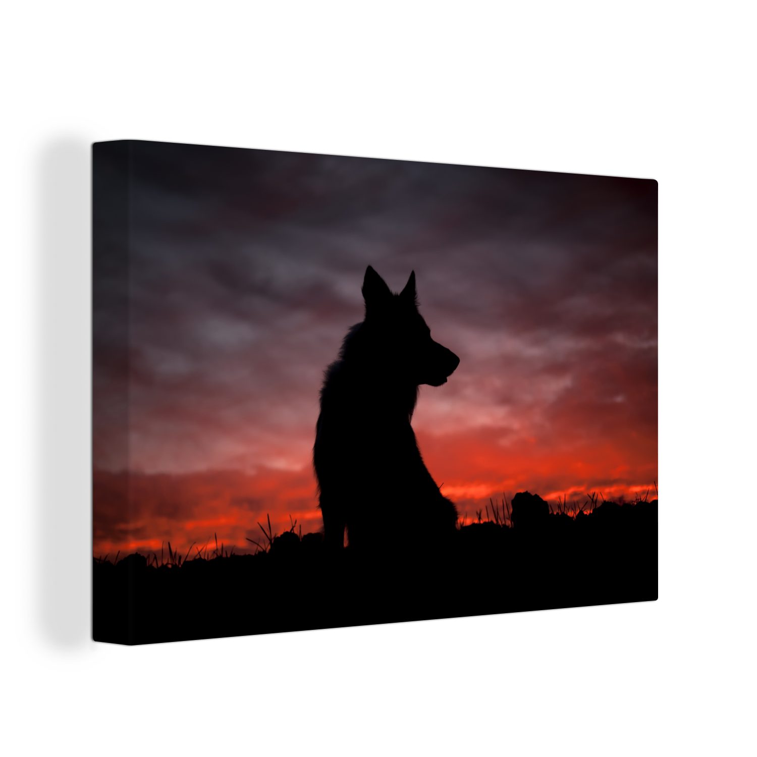 30x20 Wandbild cm Leinwandbilder, Aufhängefertig, OneMillionCanvasses® (1 - St), Wanddeko, - Leinwandbild Sonnenuntergang, Wolf Raubtier