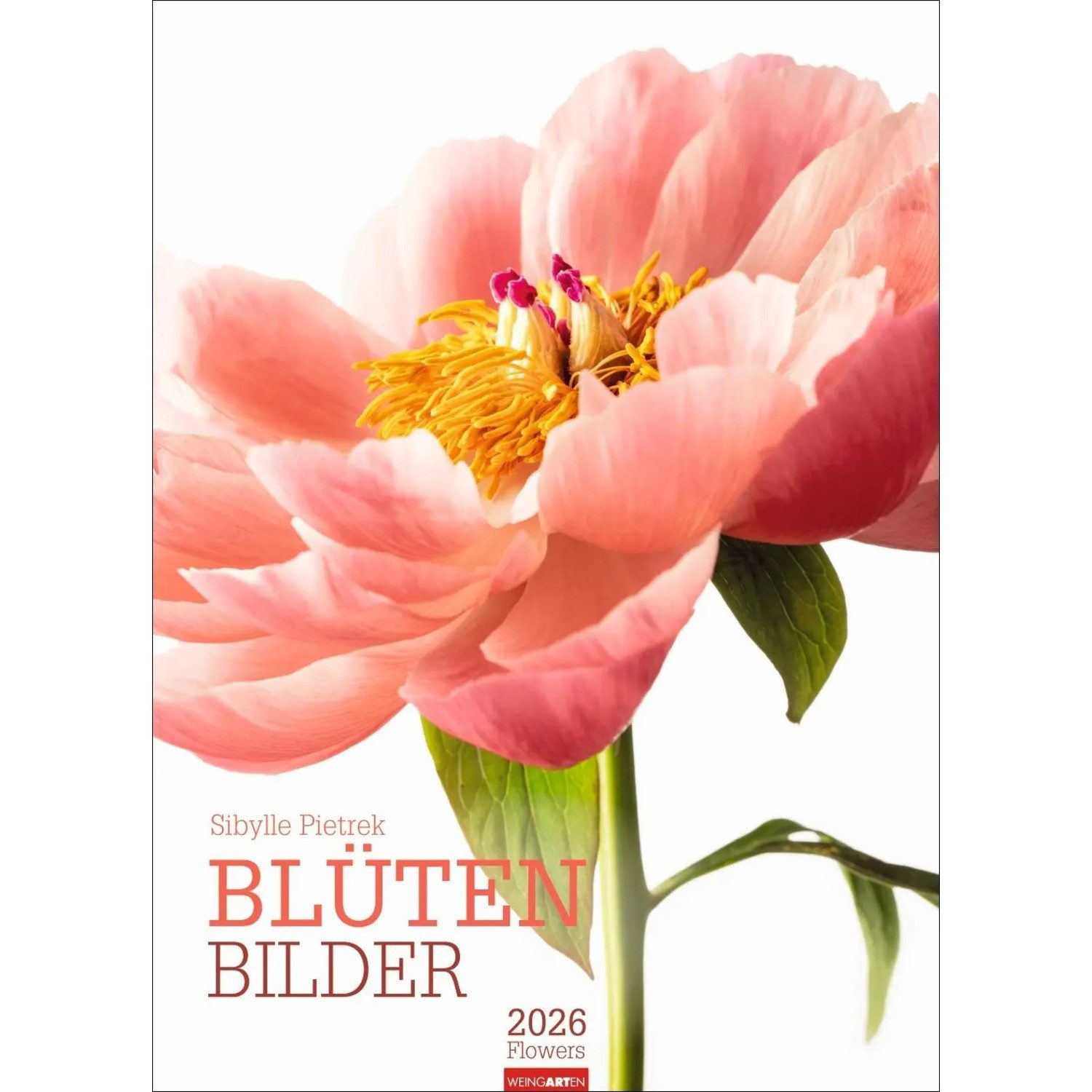 Wandkalender Blütenbilder Календарі 2026