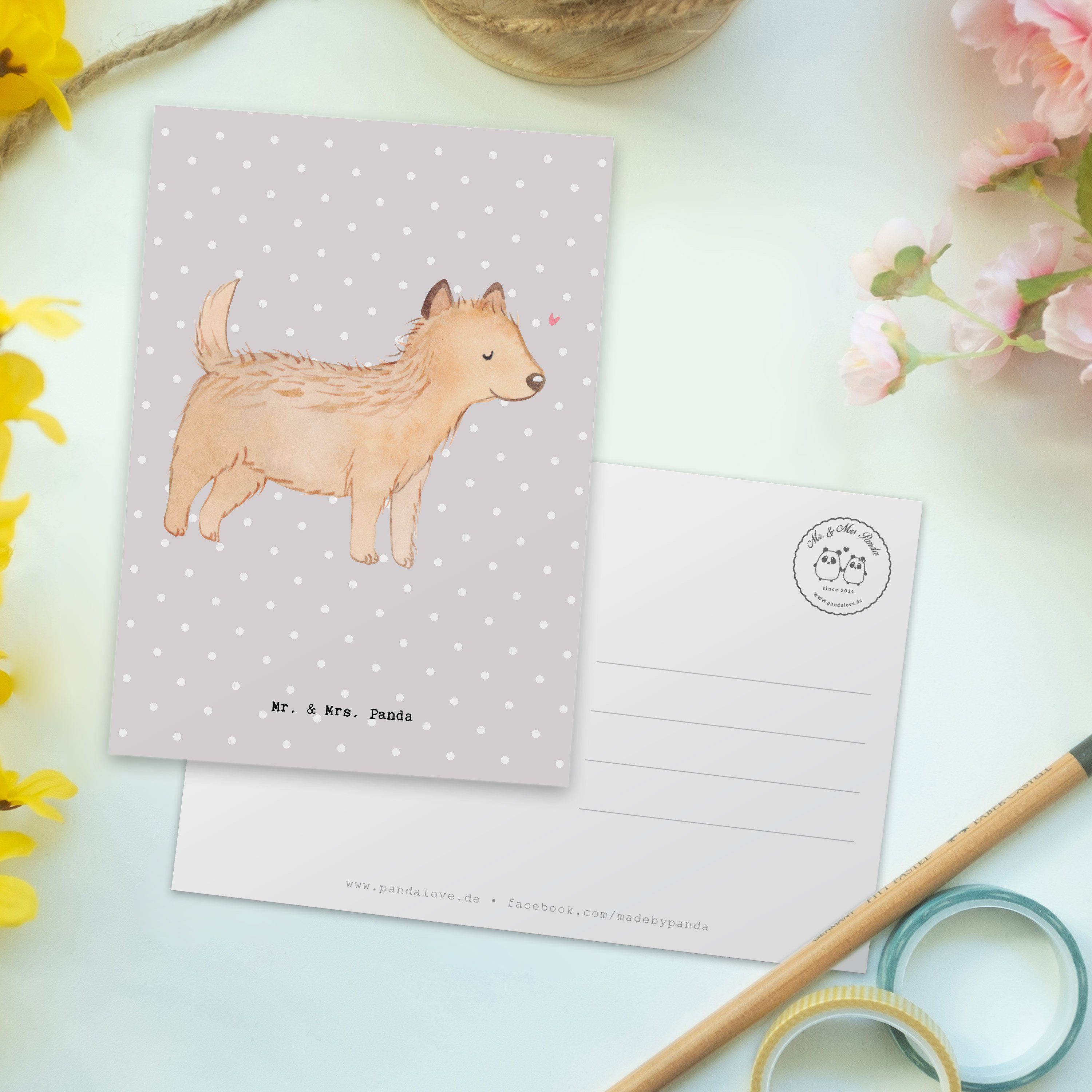 Geschenk, Mr. Moment Schenken, - Mrs. Dankeskarte Grau Cairn - Terrier Postkarte Pastell & Panda