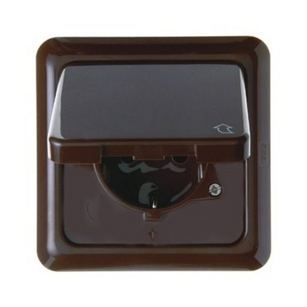 Berker Unterputz-Steckdose, 1fach braun glänzend Unterputz horizontal/vertikal m. Klappdeckel